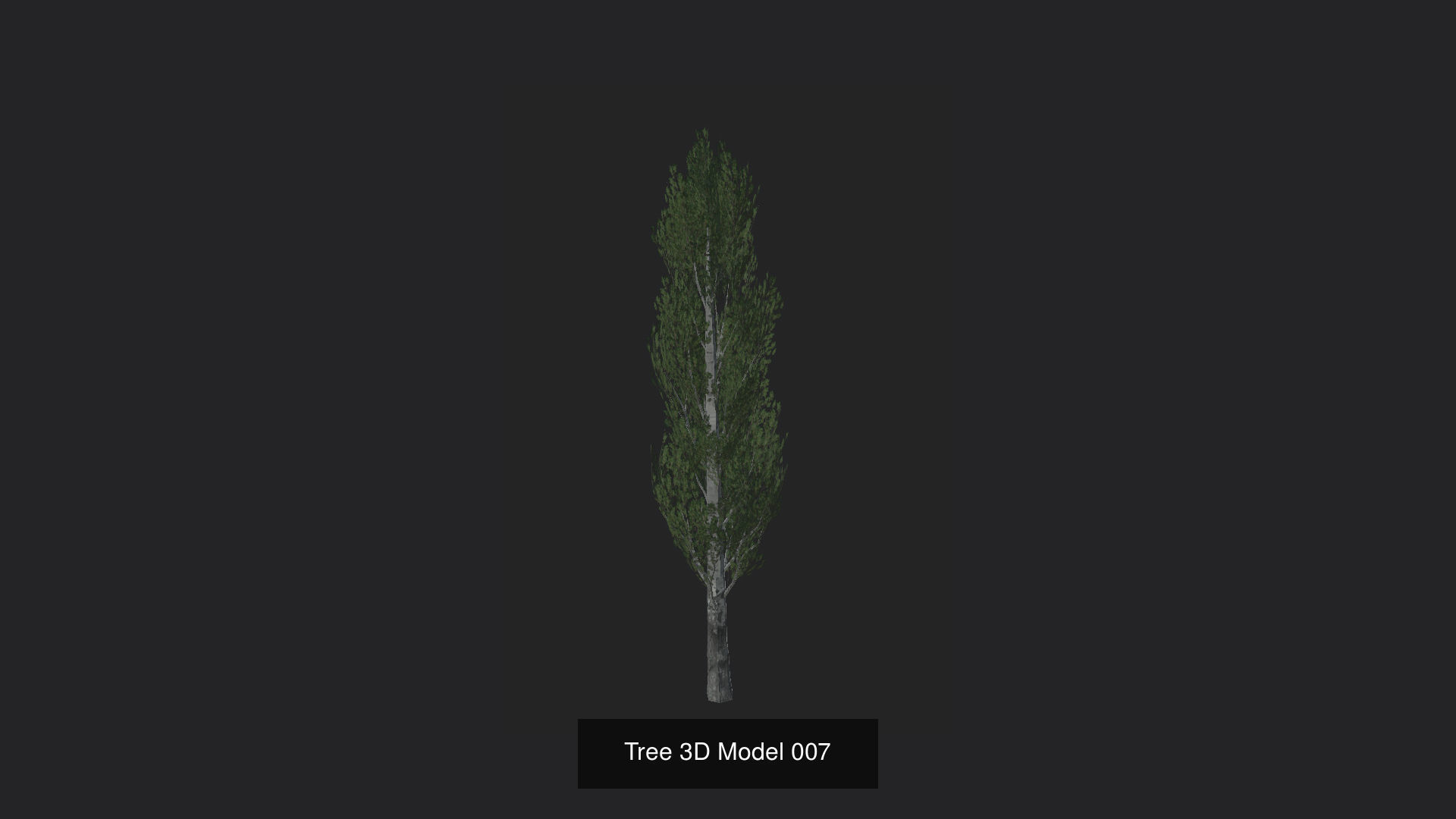 Tree 3D Model 3D Model Collection_8