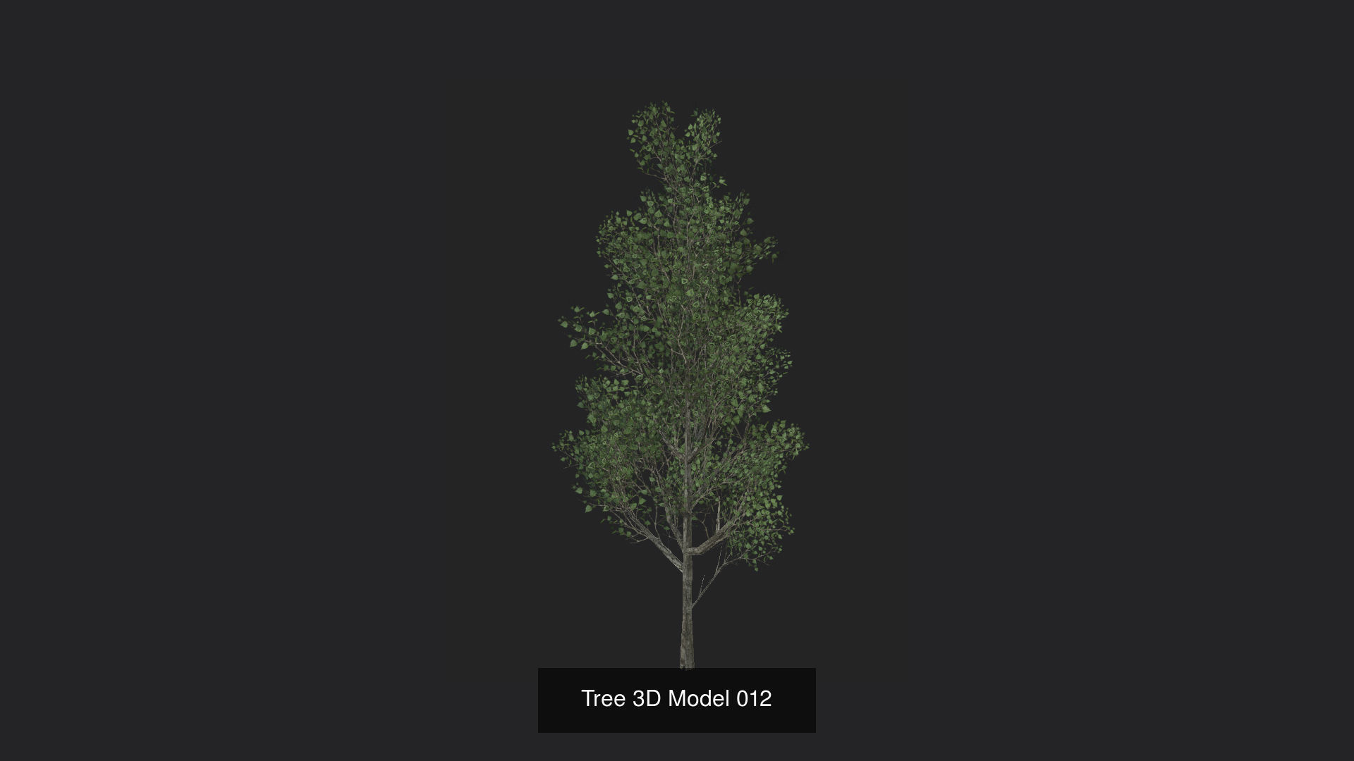 Tree 3D Model 3D Model Collection_13