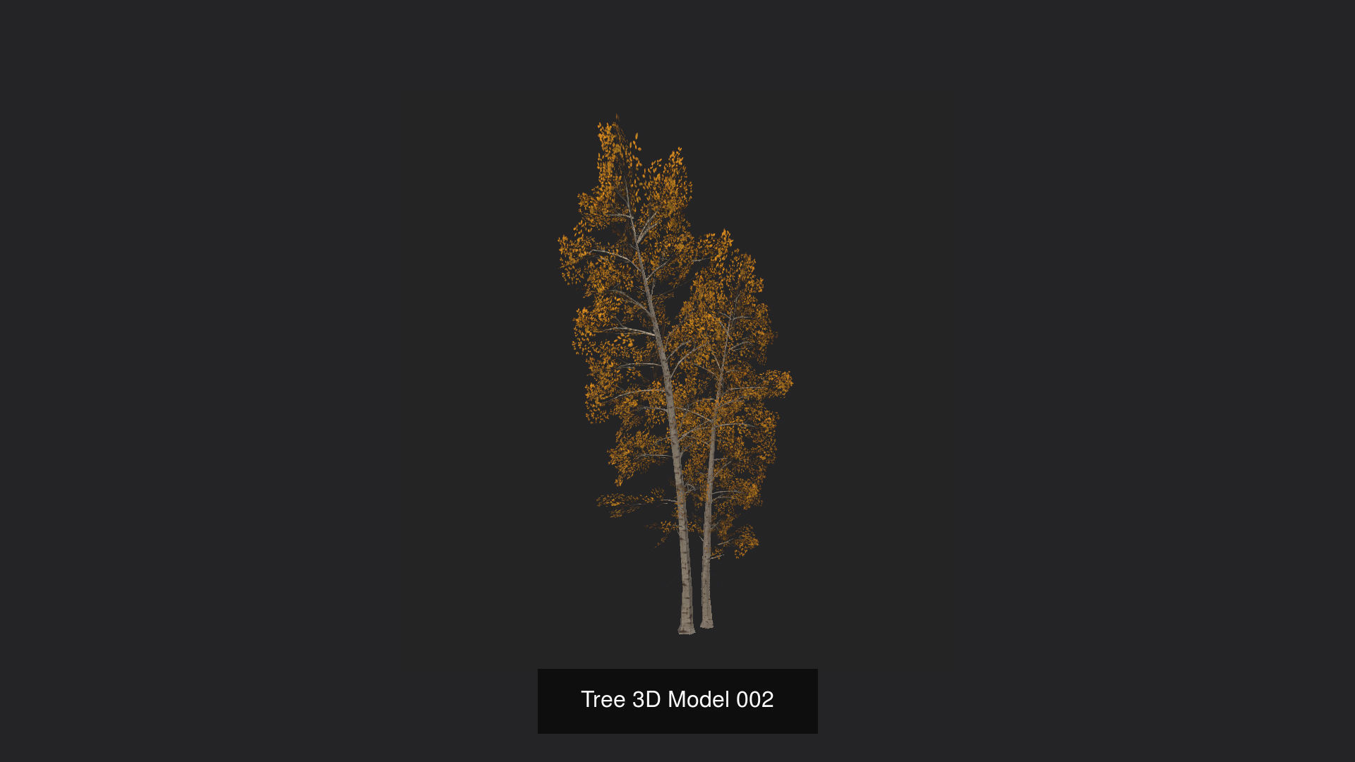Tree 3D Model 3D Model Collection_3