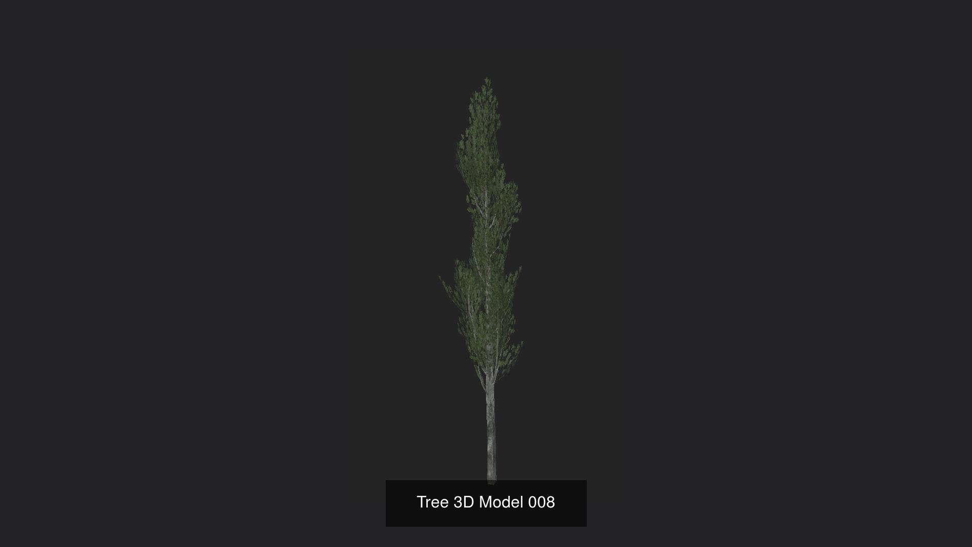 Tree 3D Model 3D Model Collection_9