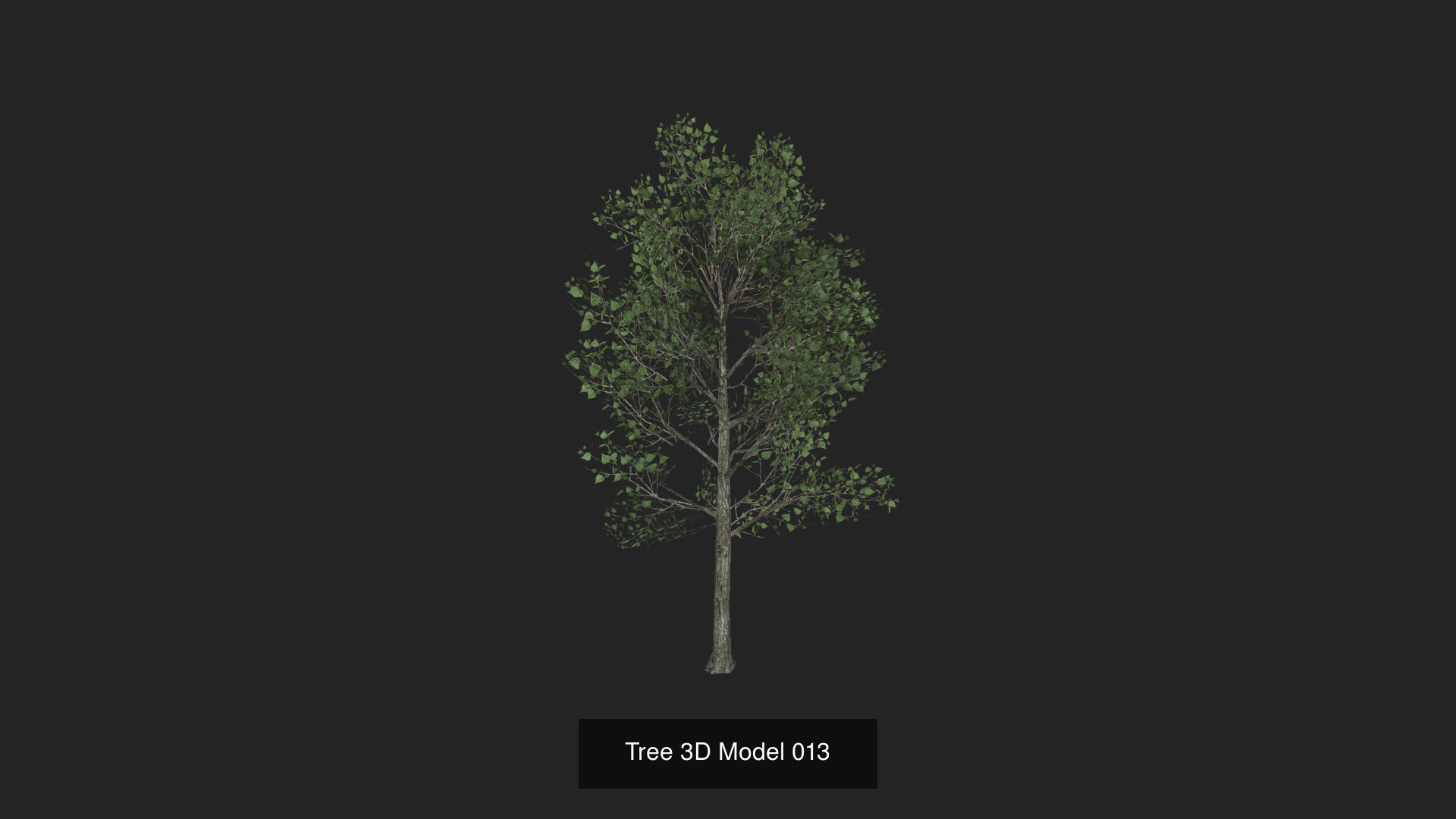 Tree 3D Model 3D Model Collection_14