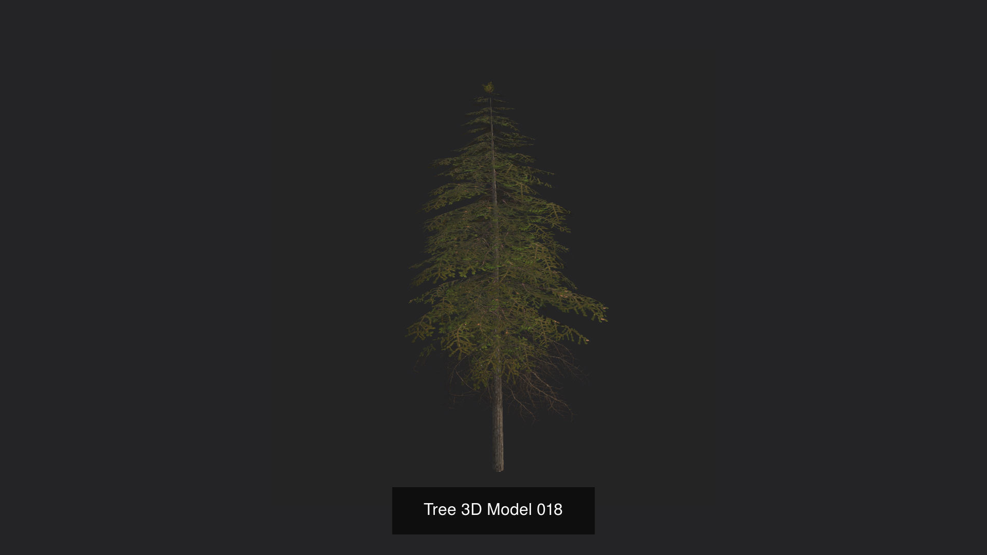 Tree 3D Model 3D Model Collection_19