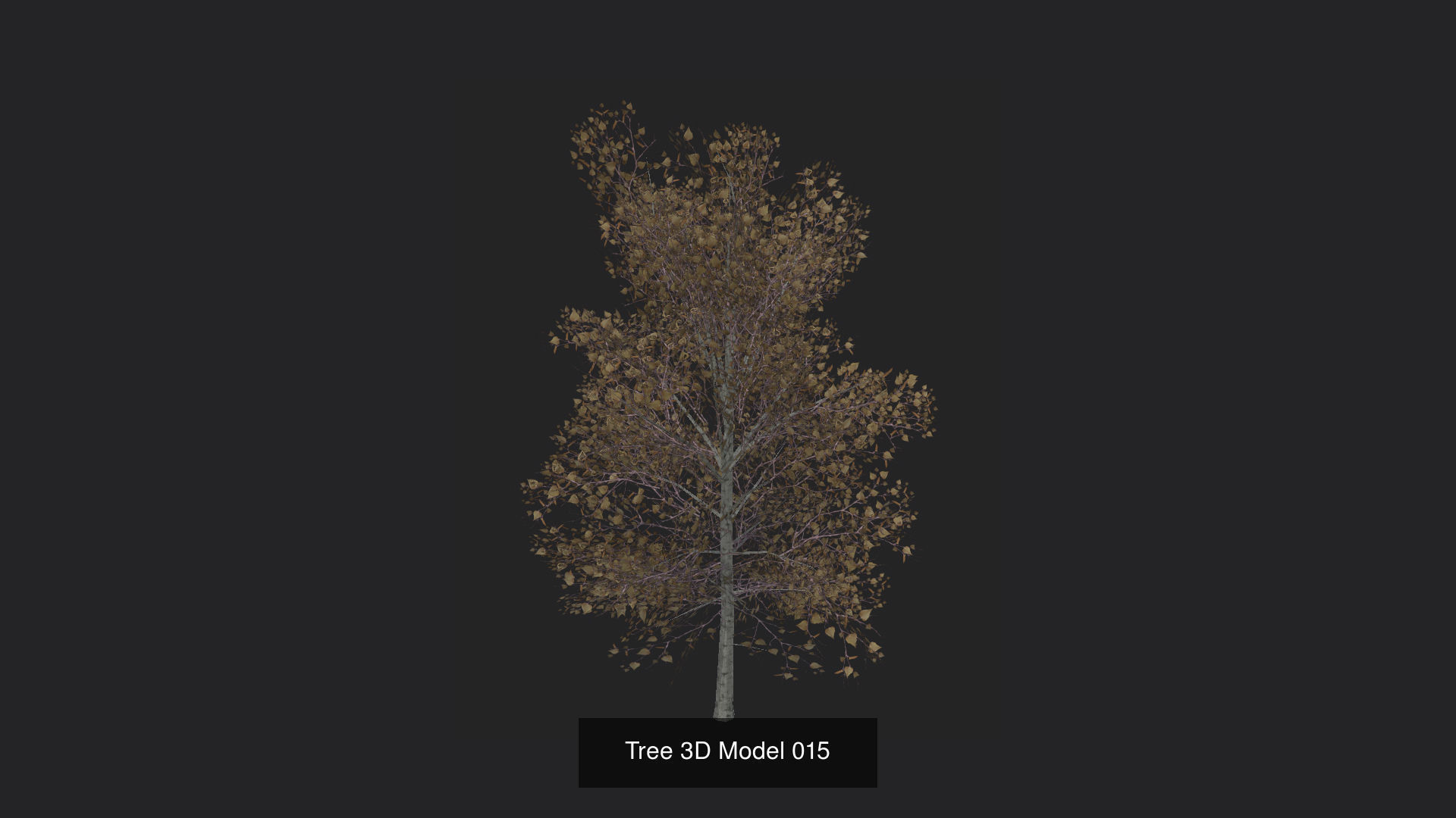 Tree 3D Model 3D Model Collection_16