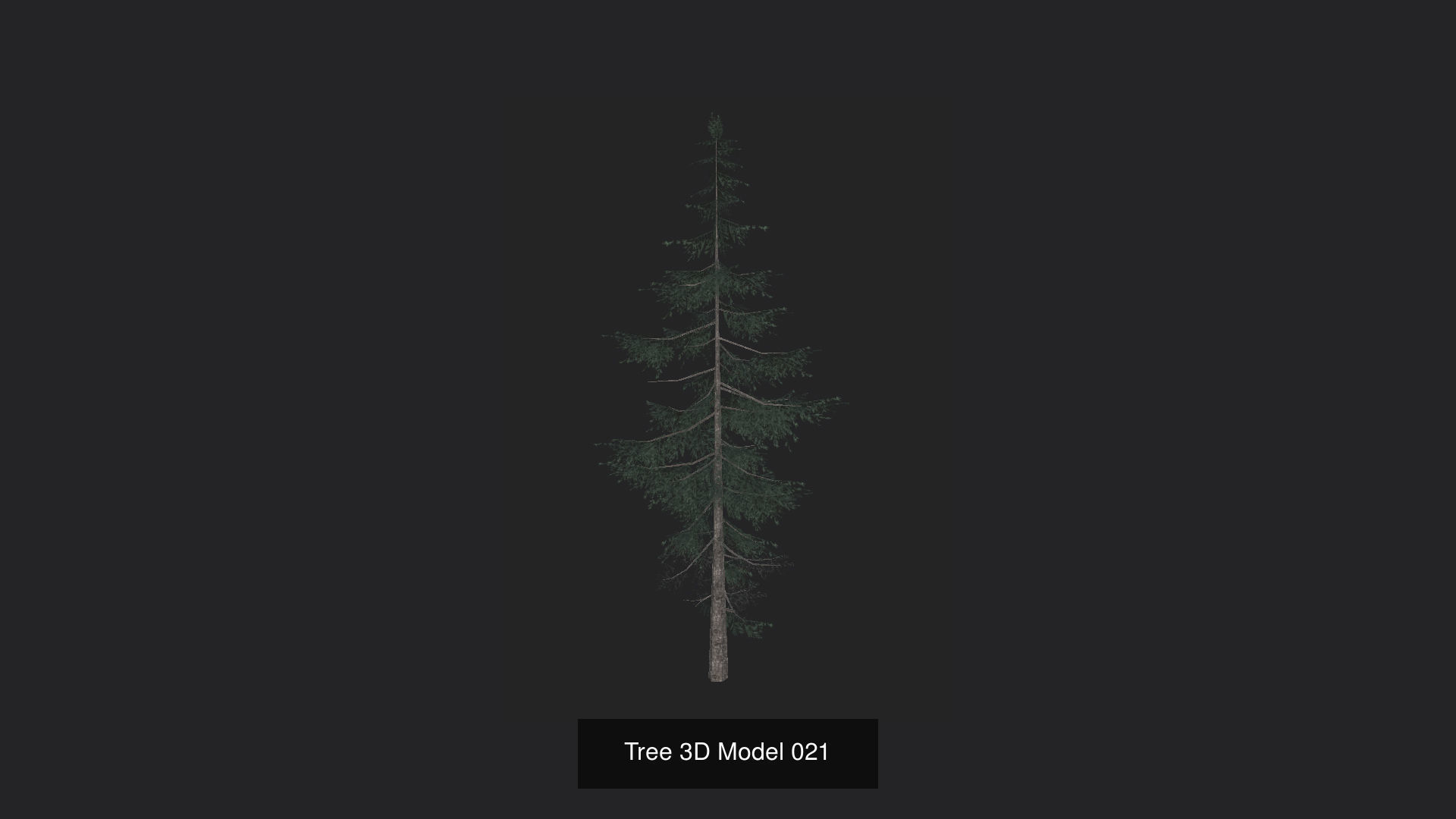 Tree 3D Model 3D Model Collection_22