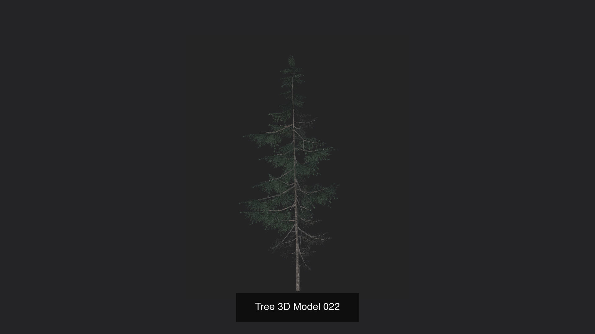 Tree 3D Model 3D Model Collection_23