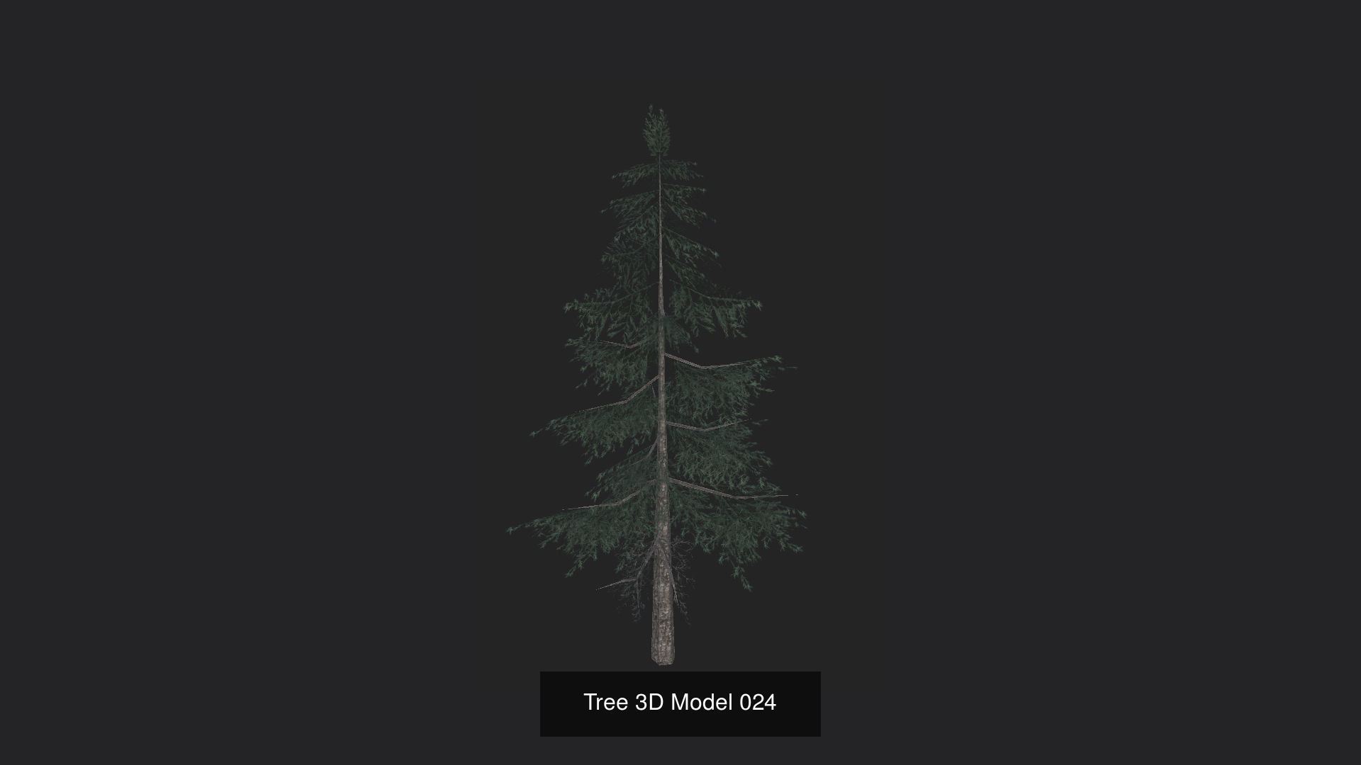 Tree 3D Model 3D Model Collection_25
