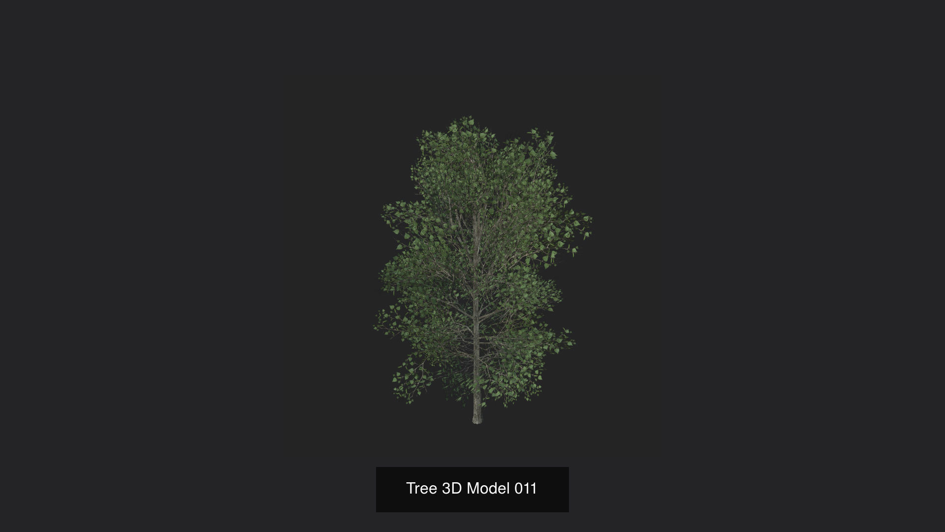 Tree 3D Model 3D Model Collection_12