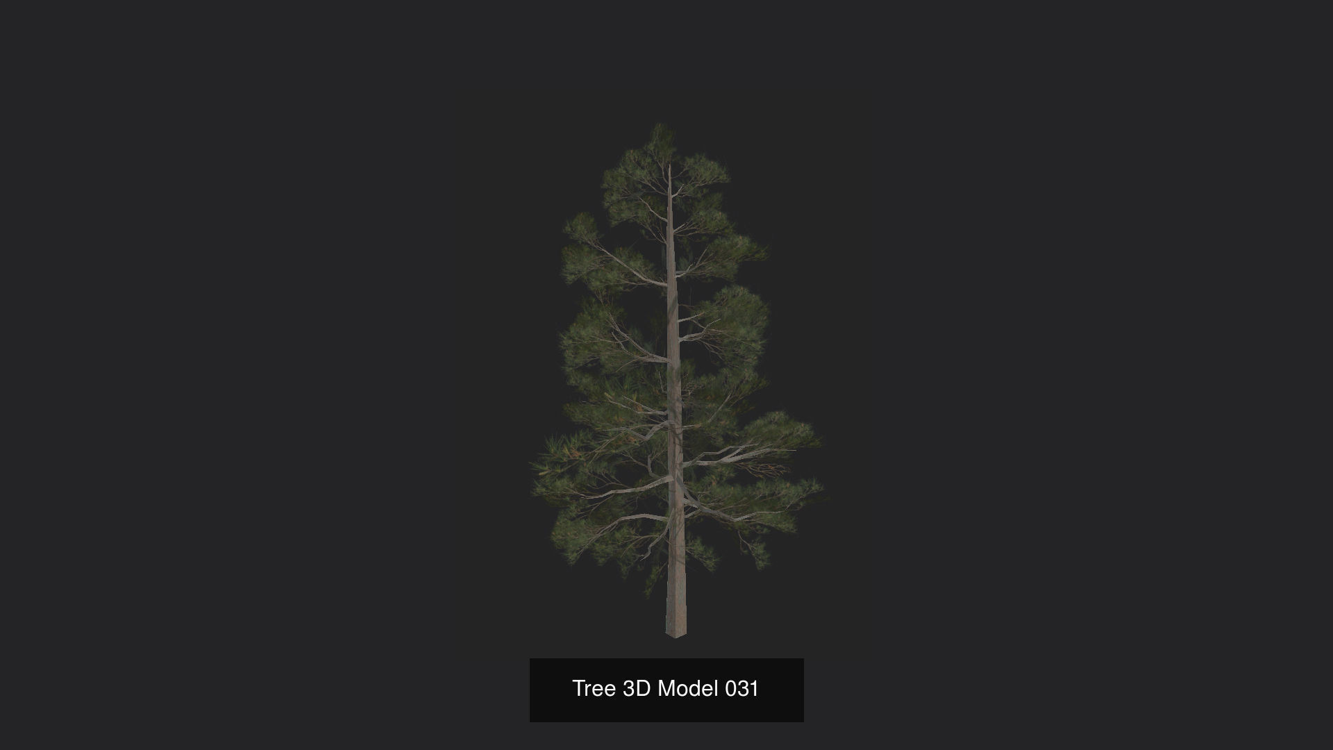 Tree 3D Model 3D Model Collection_32
