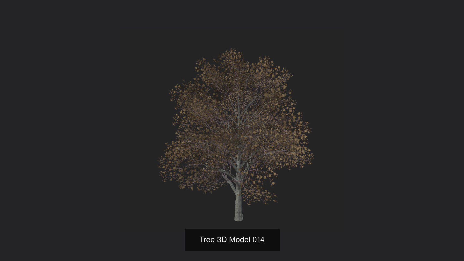 Tree 3D Model 3D Model Collection_15