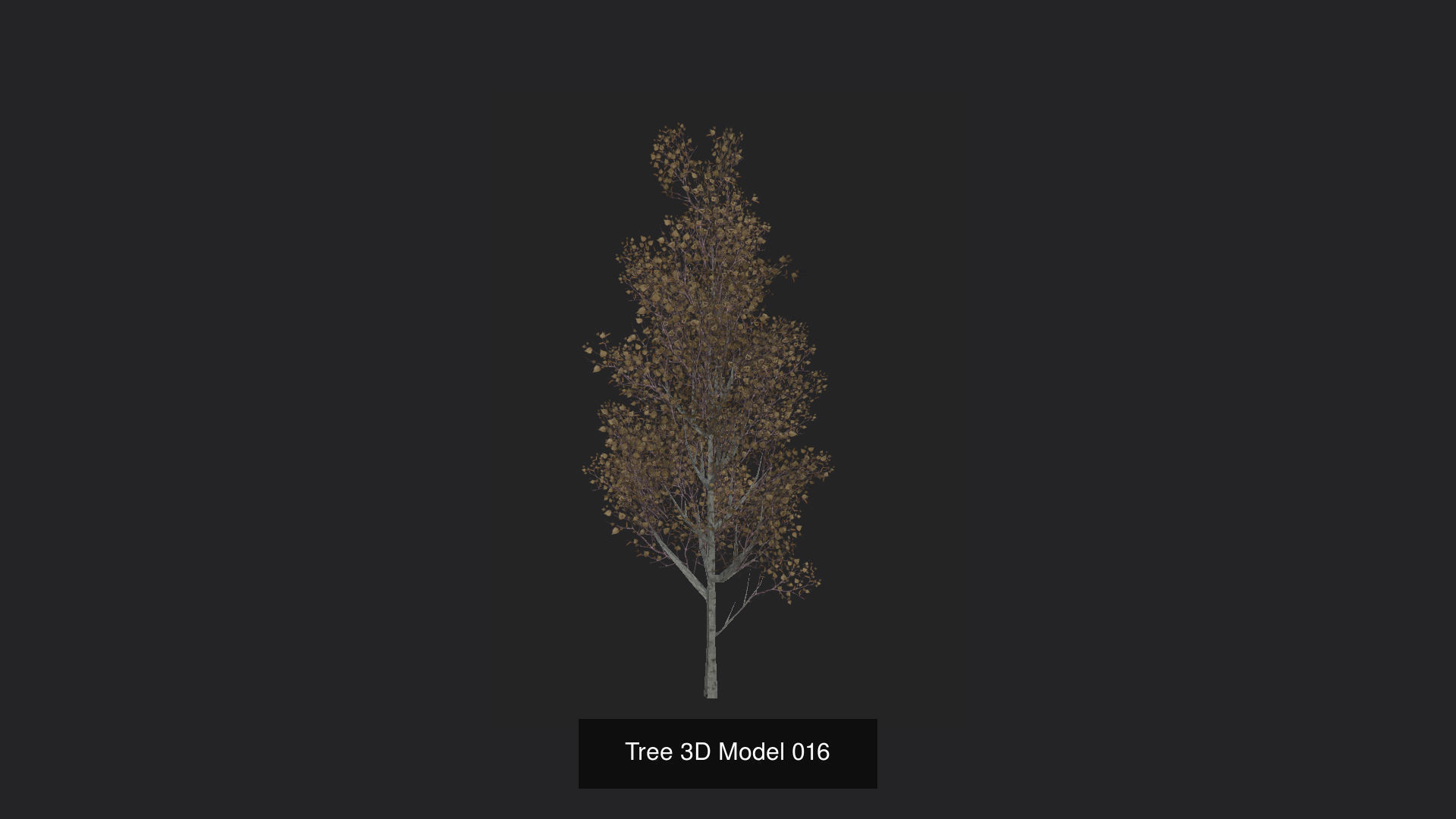 Tree 3D Model 3D Model Collection_17