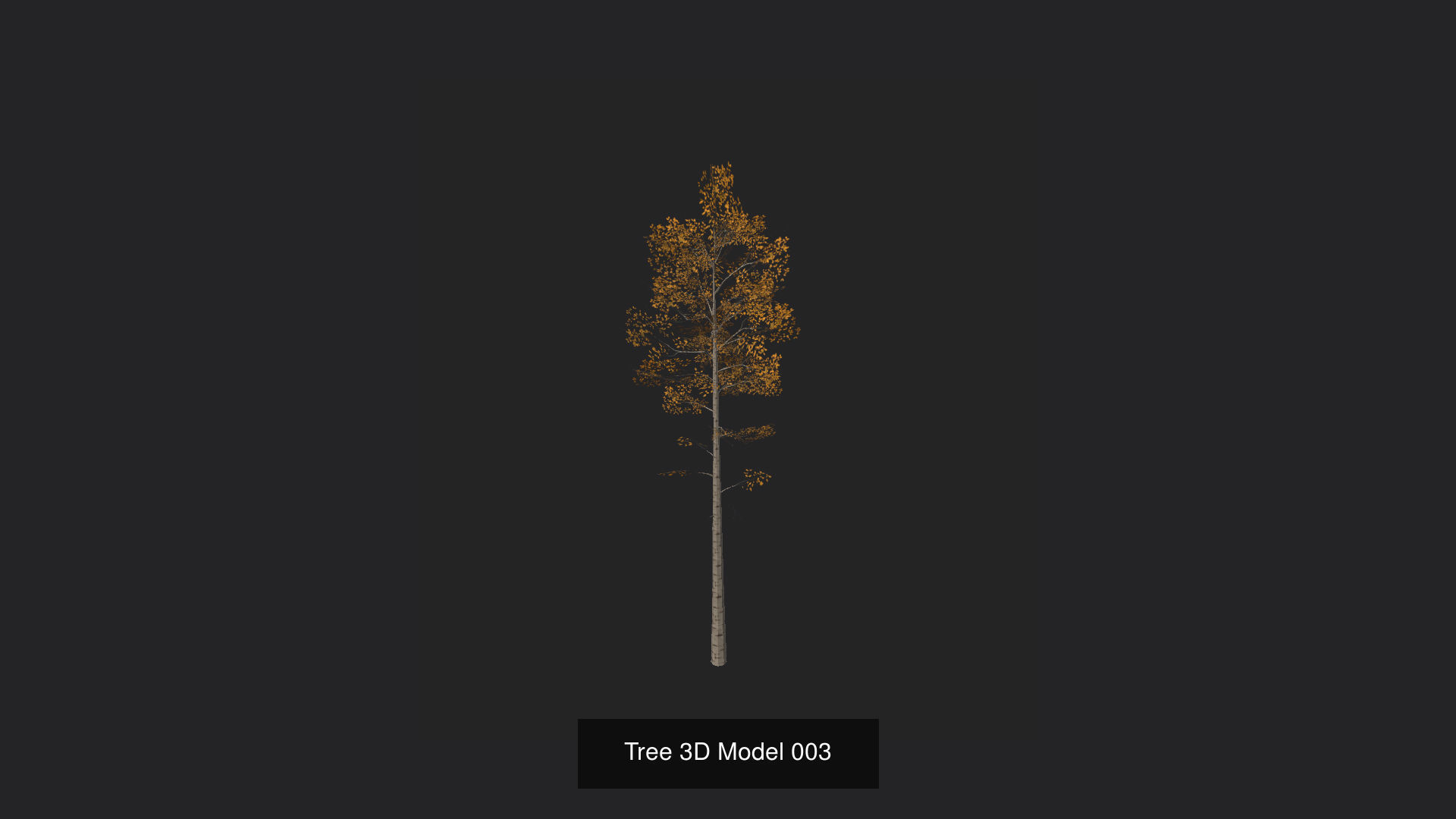 Tree 3D Model 3D Model Collection_4