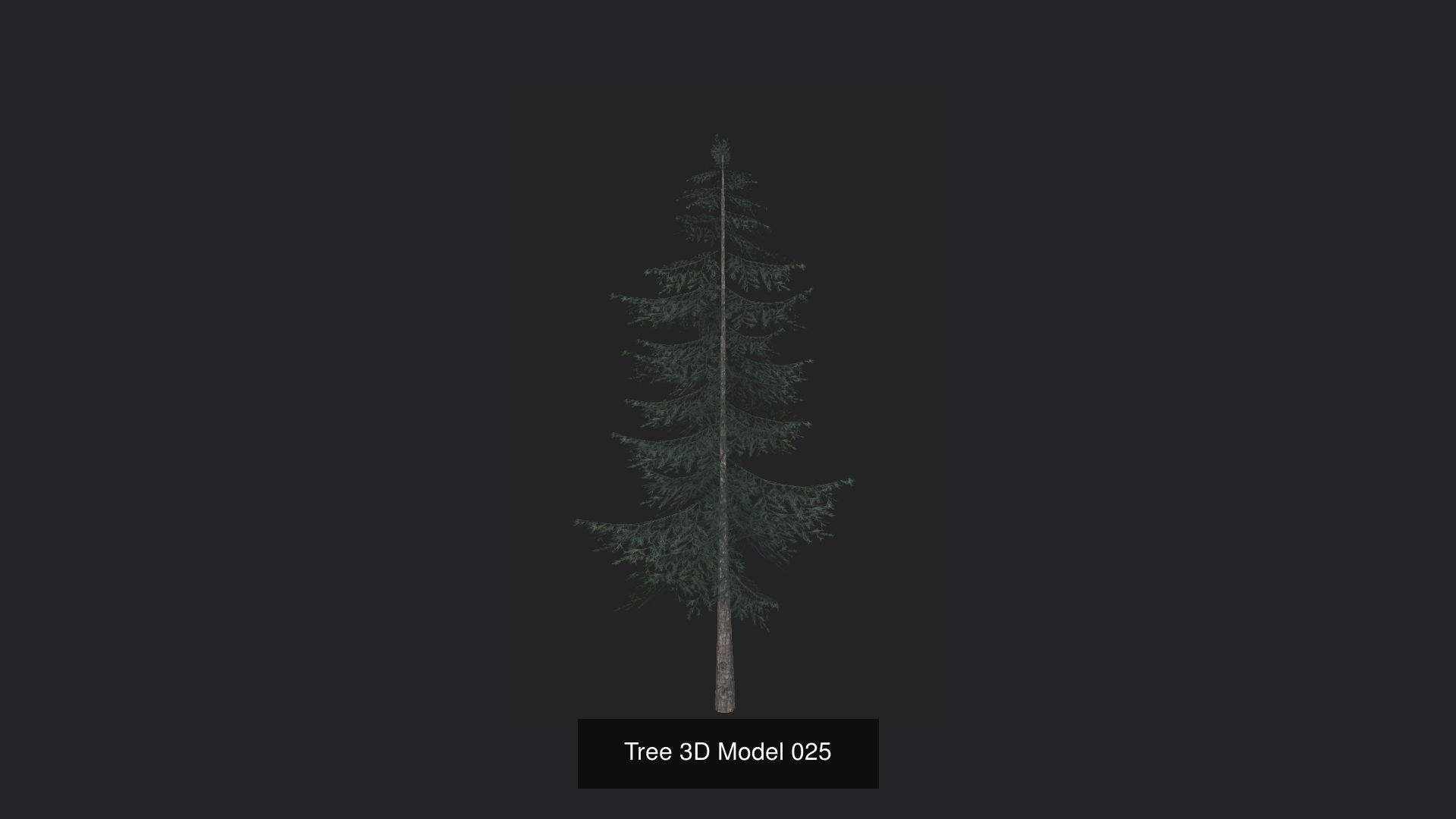 Tree 3D Model 3D Model Collection_26
