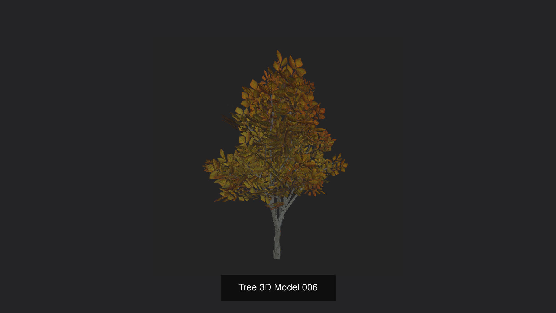 Tree 3D Model 3D Model Collection_7