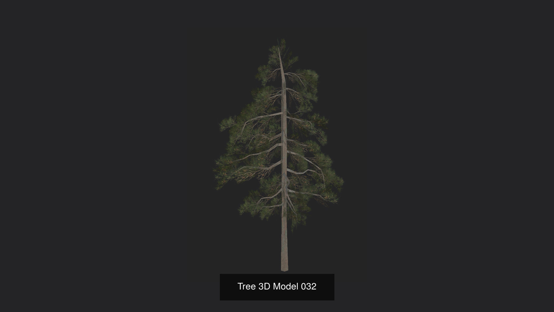 Tree 3D Model 3D Model Collection_33
