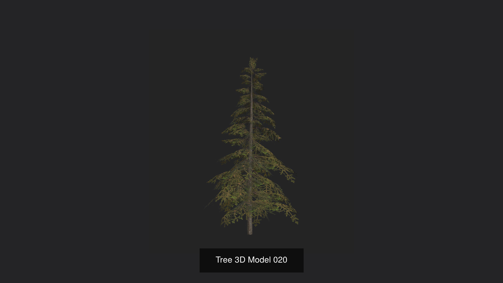 Tree 3D Model 3D Model Collection_21