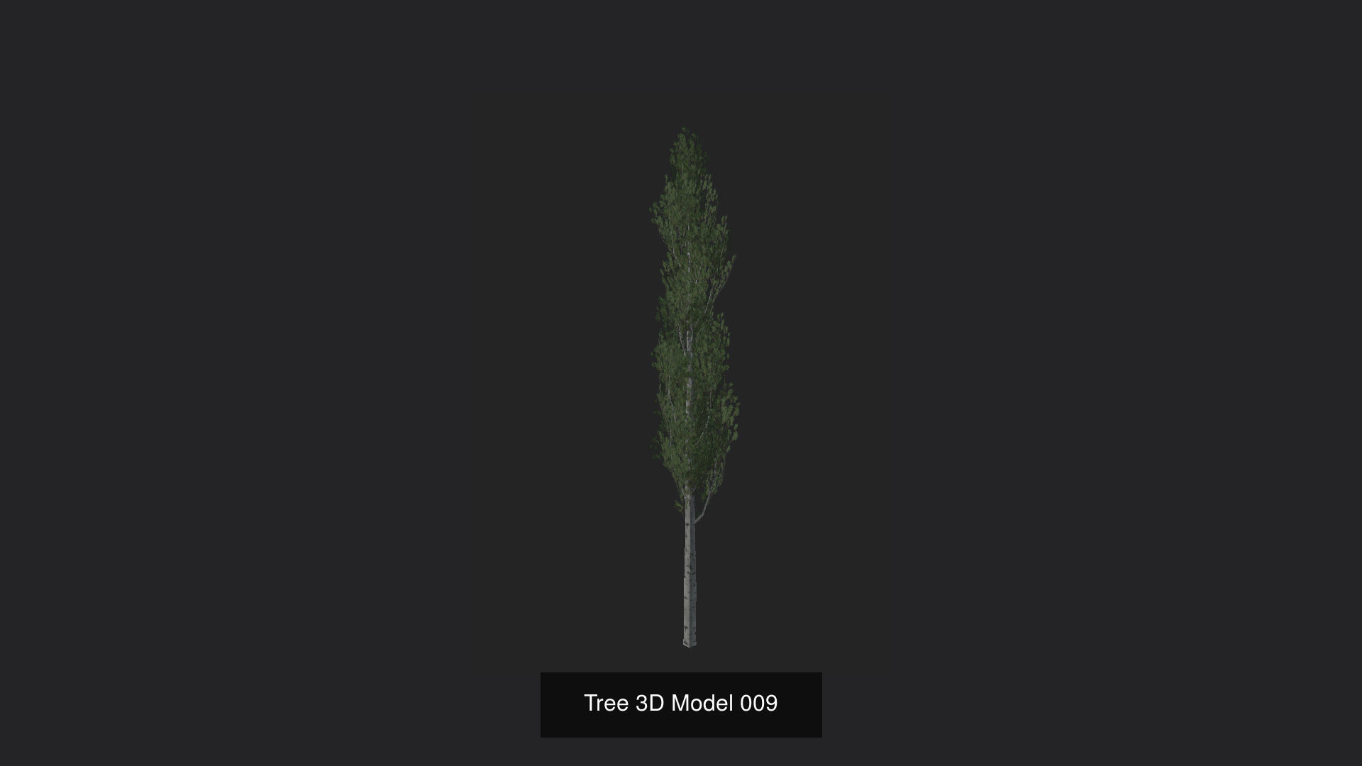 Tree 3D Model 3D Model Collection_10