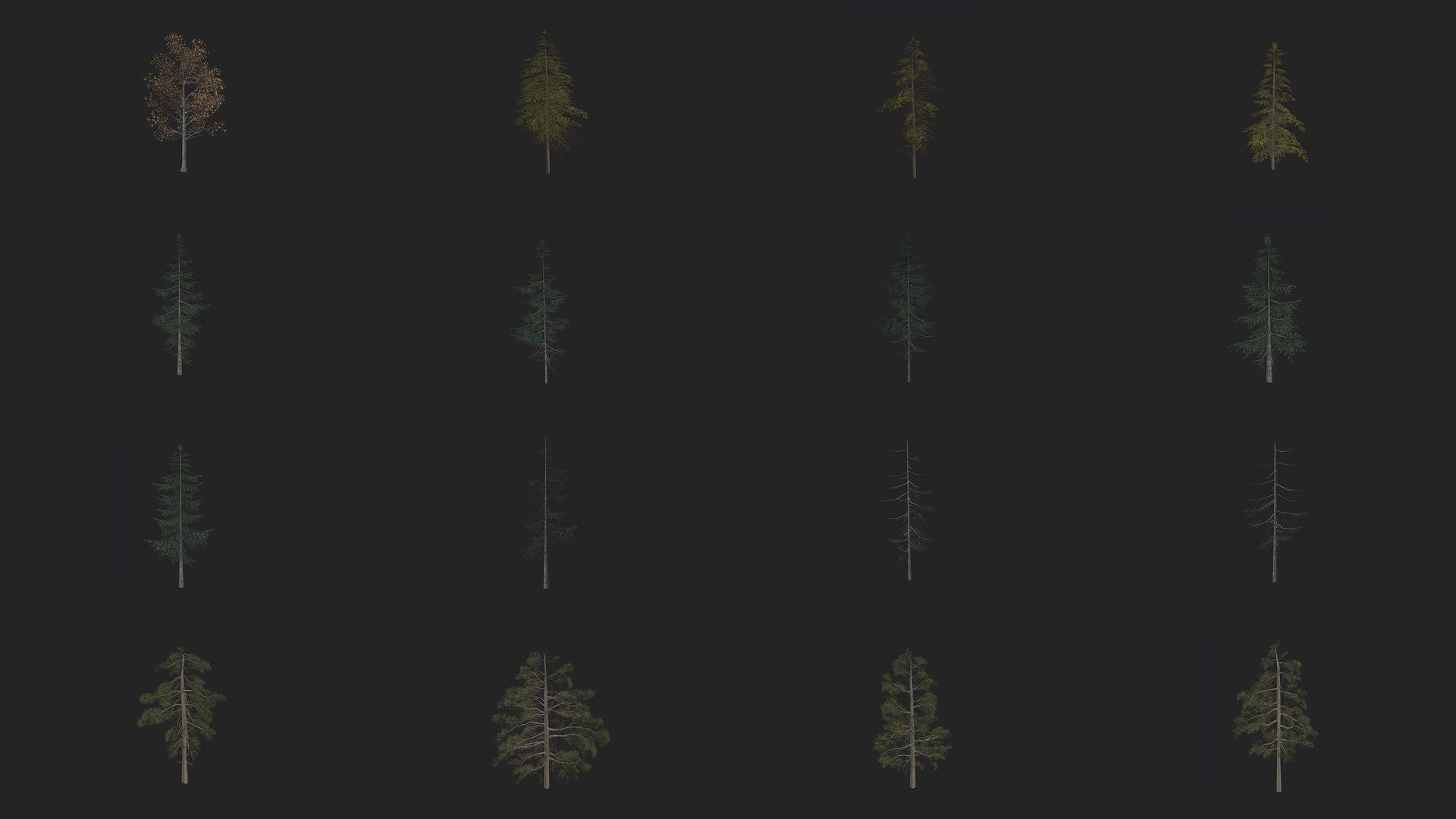 Tree 3D Model 3D Model Collection_1