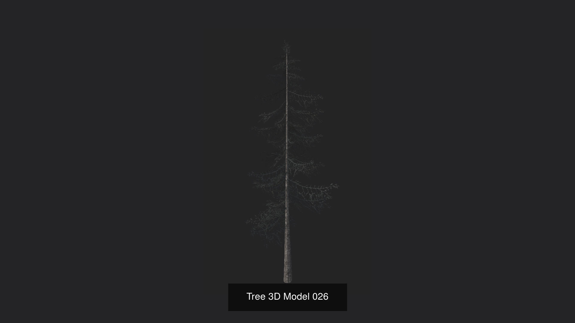 Tree 3D Model 3D Model Collection_27