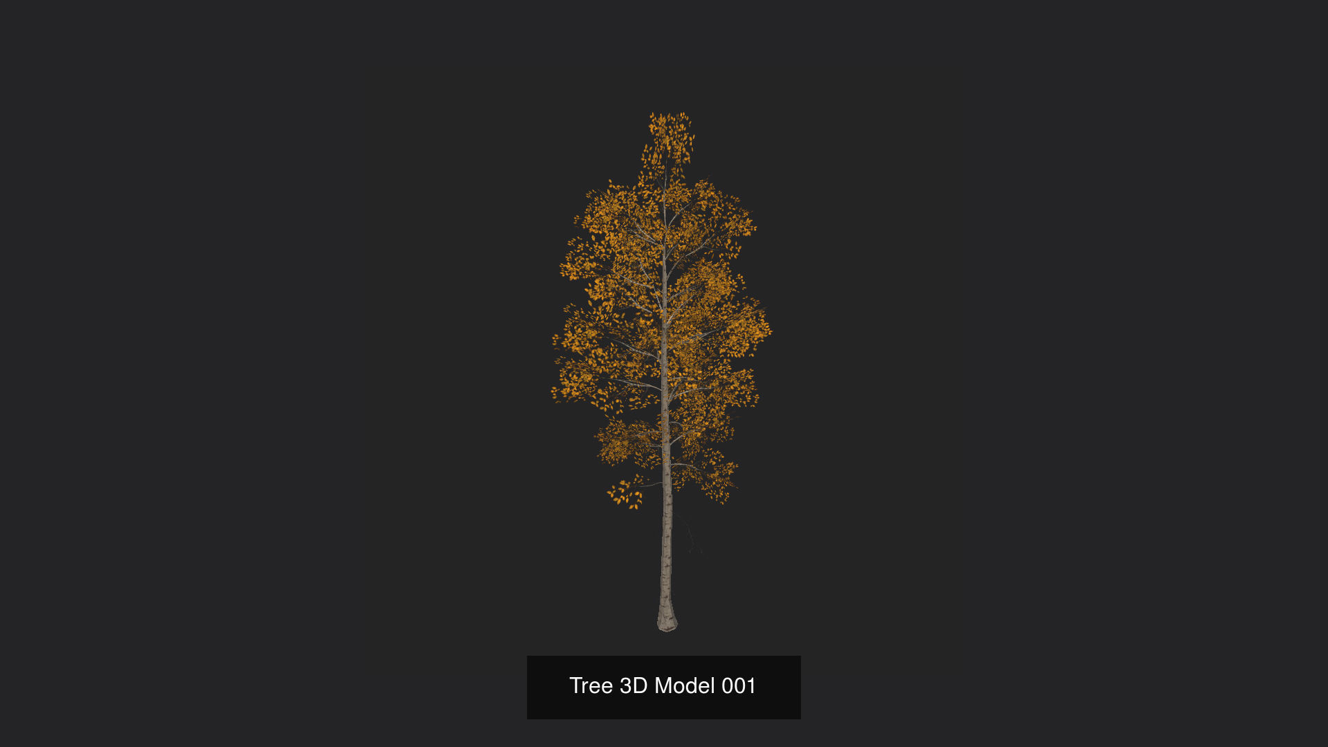 Tree 3D Model 3D Model Collection_2