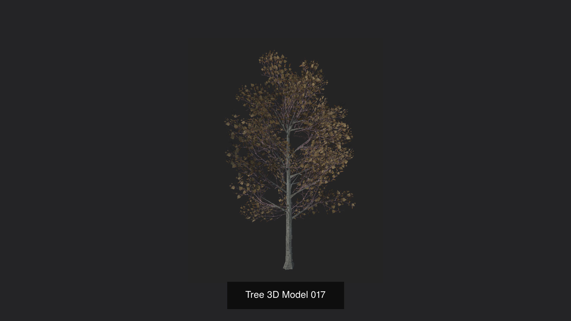 Tree 3D Model 3D Model Collection_18