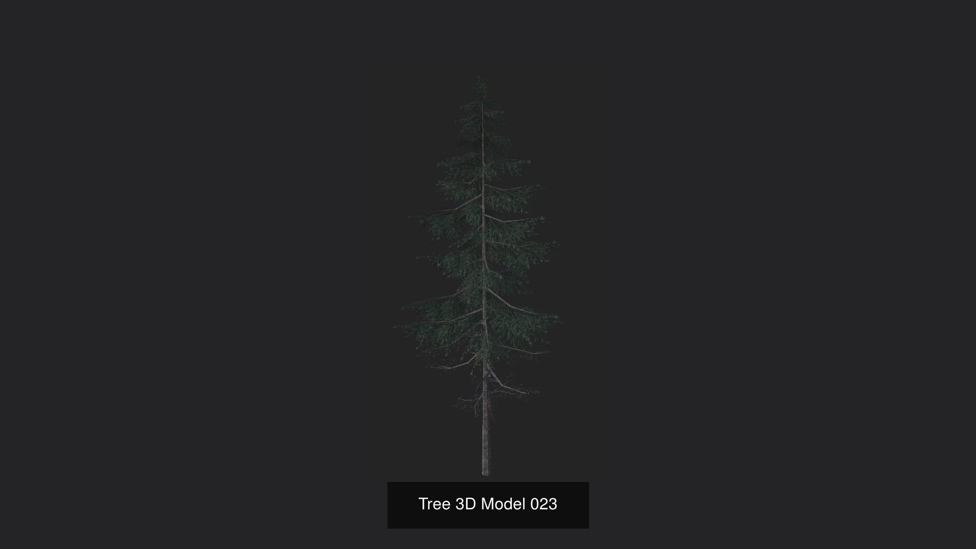 Tree 3D Model 3D Model Collection_24