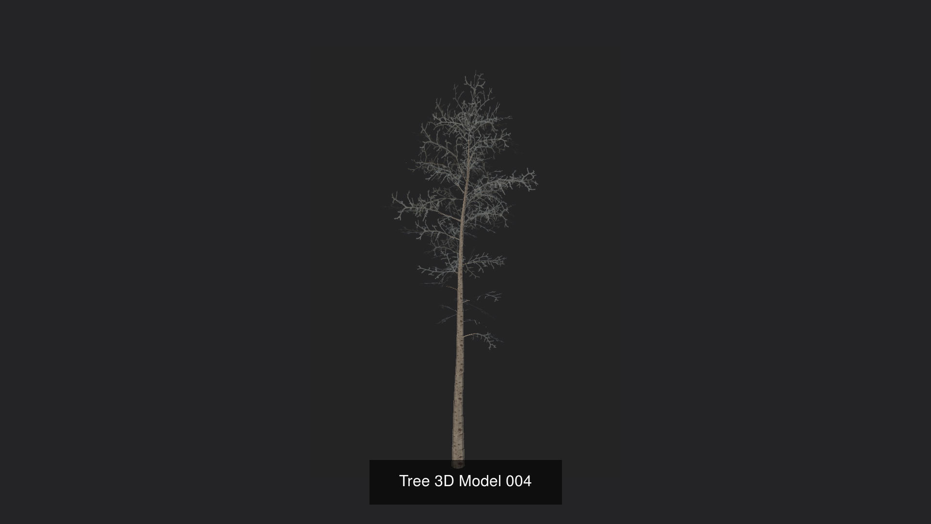 Tree 3D Model 3D Model Collection_5