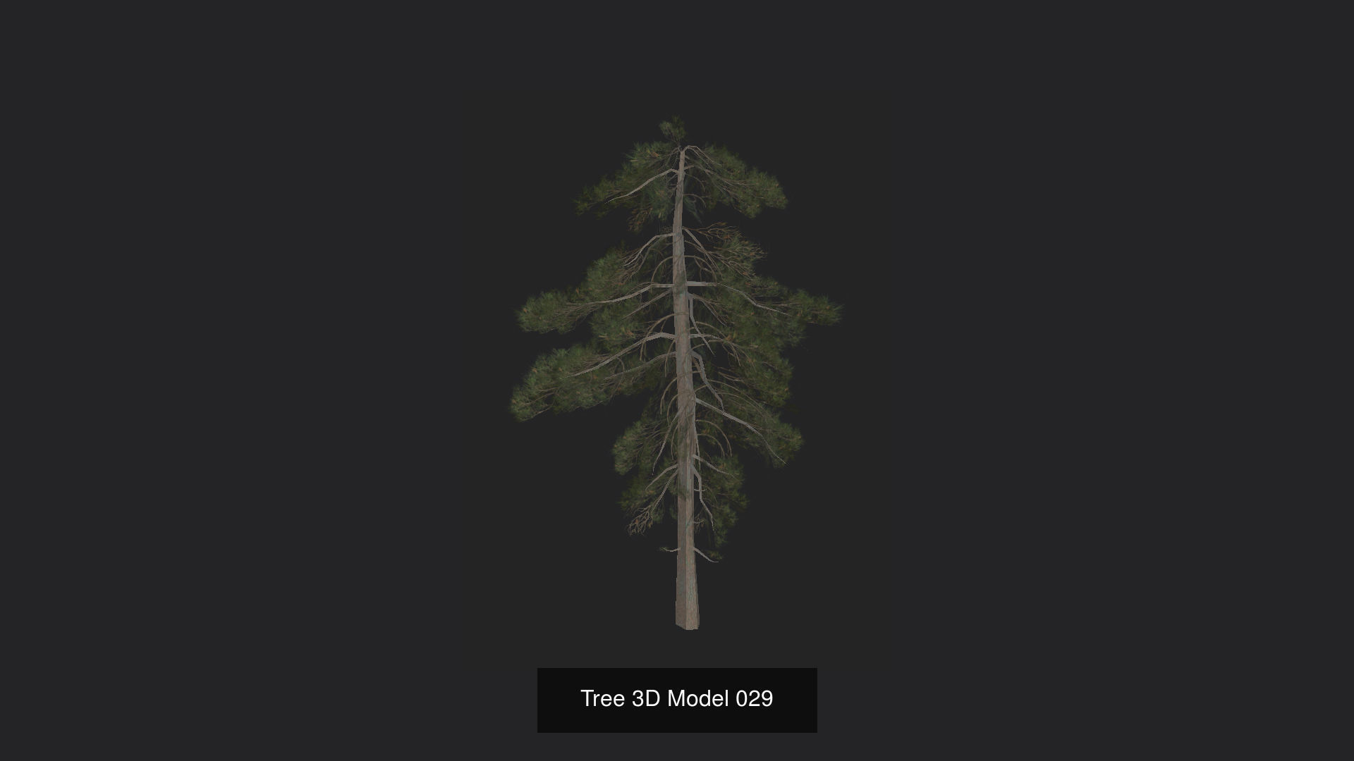 Tree 3D Model 3D Model Collection_30