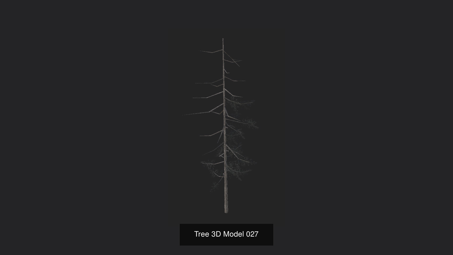 Tree 3D Model 3D Model Collection_28