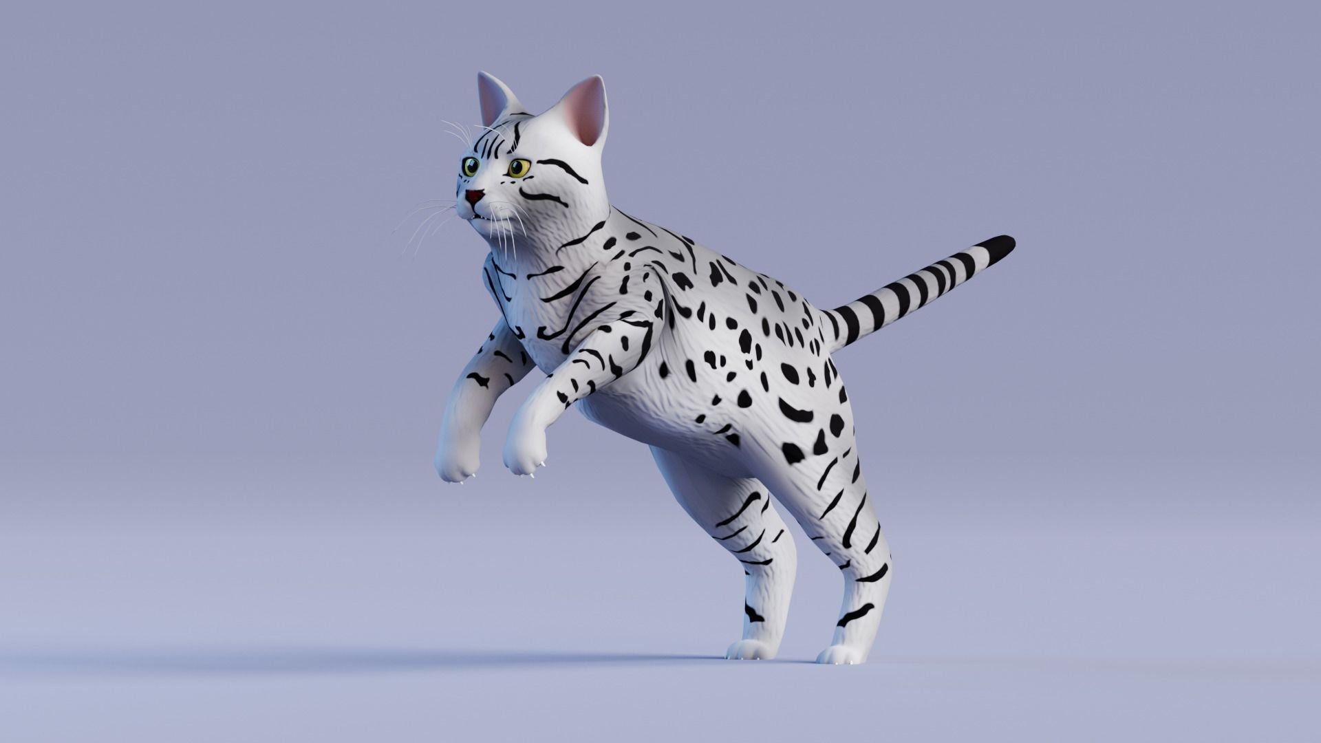 Low poly - Stylized cats - Egyptian Mau Cat Low-poly 3D model_1
