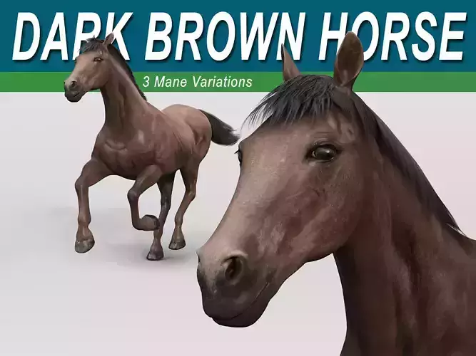 Horse - Dark Brown