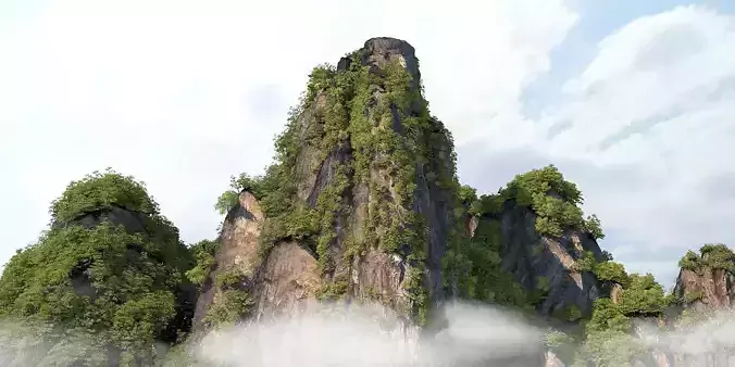 Mountain forest natural landscape