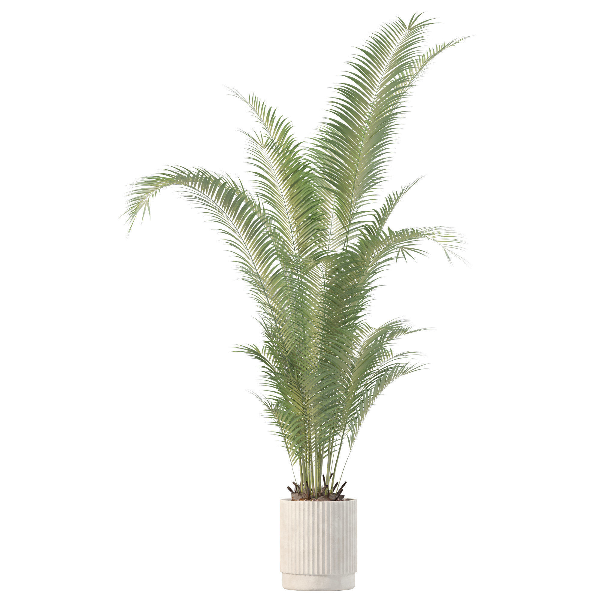 20 Photorealistic Flowers for Interiors - set 201 207 213 219 3D Model Collection_28