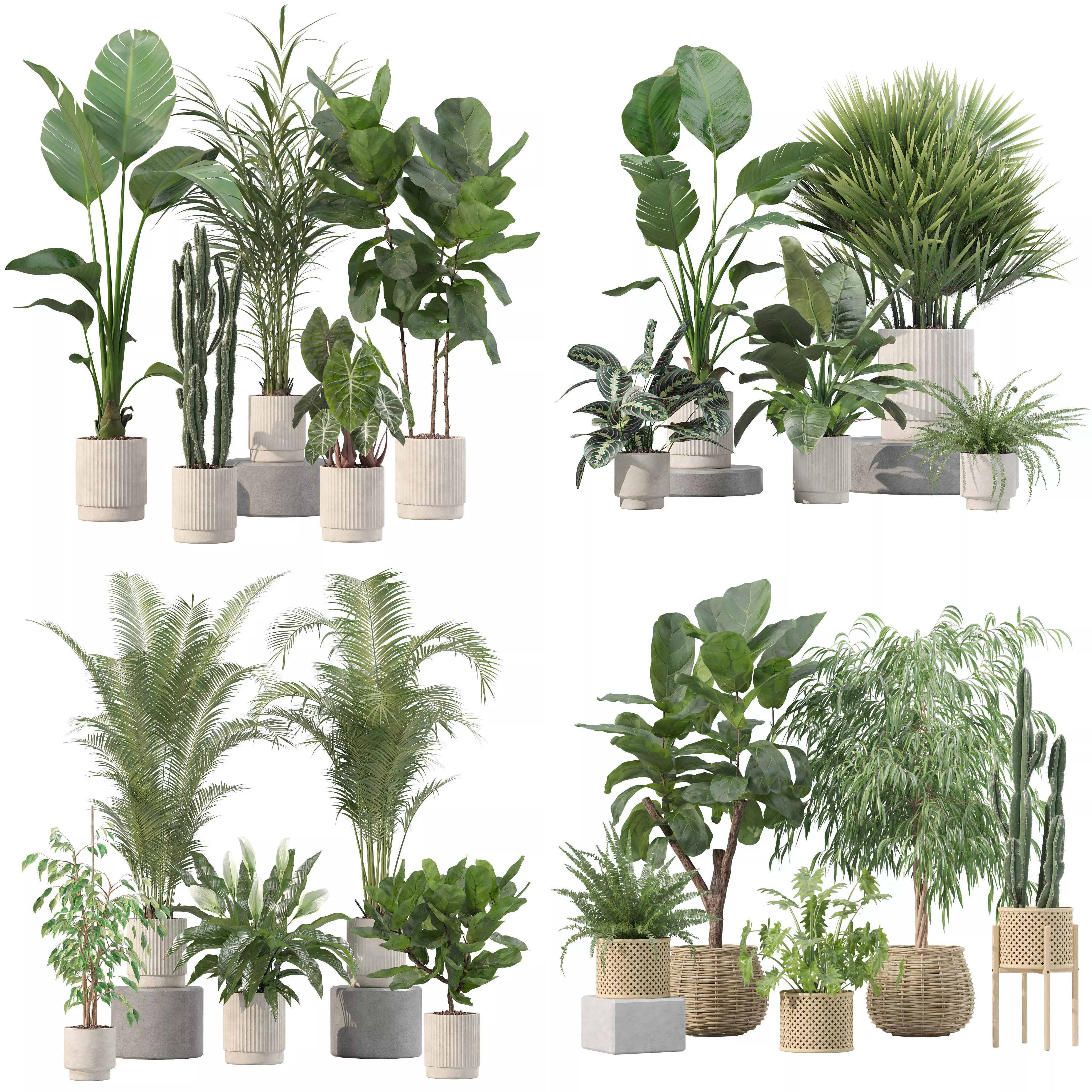 20 Photorealistic Flowers for Interiors - set 201 207 213 219 3D Model Collection_0