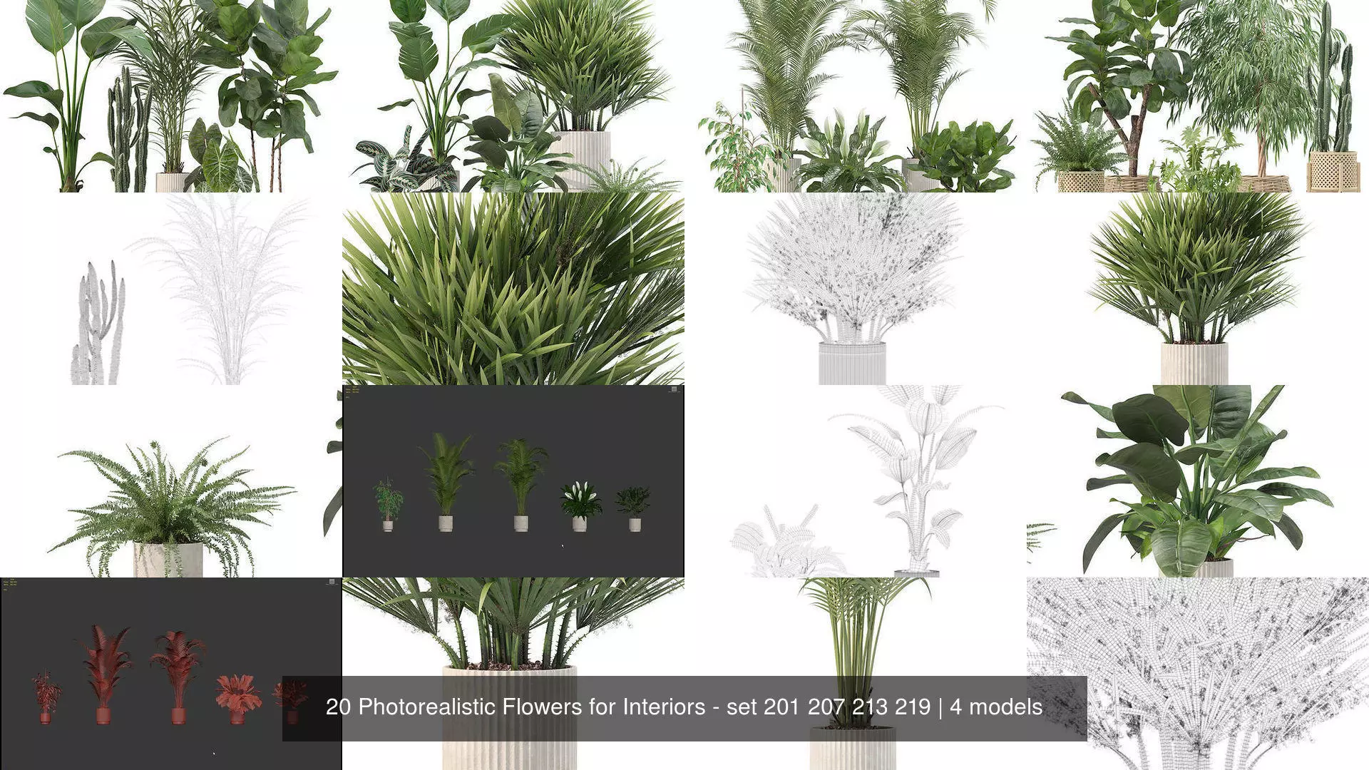 20 Photorealistic Flowers for Interiors - set 201 207 213 219 3D Model Collection_1
