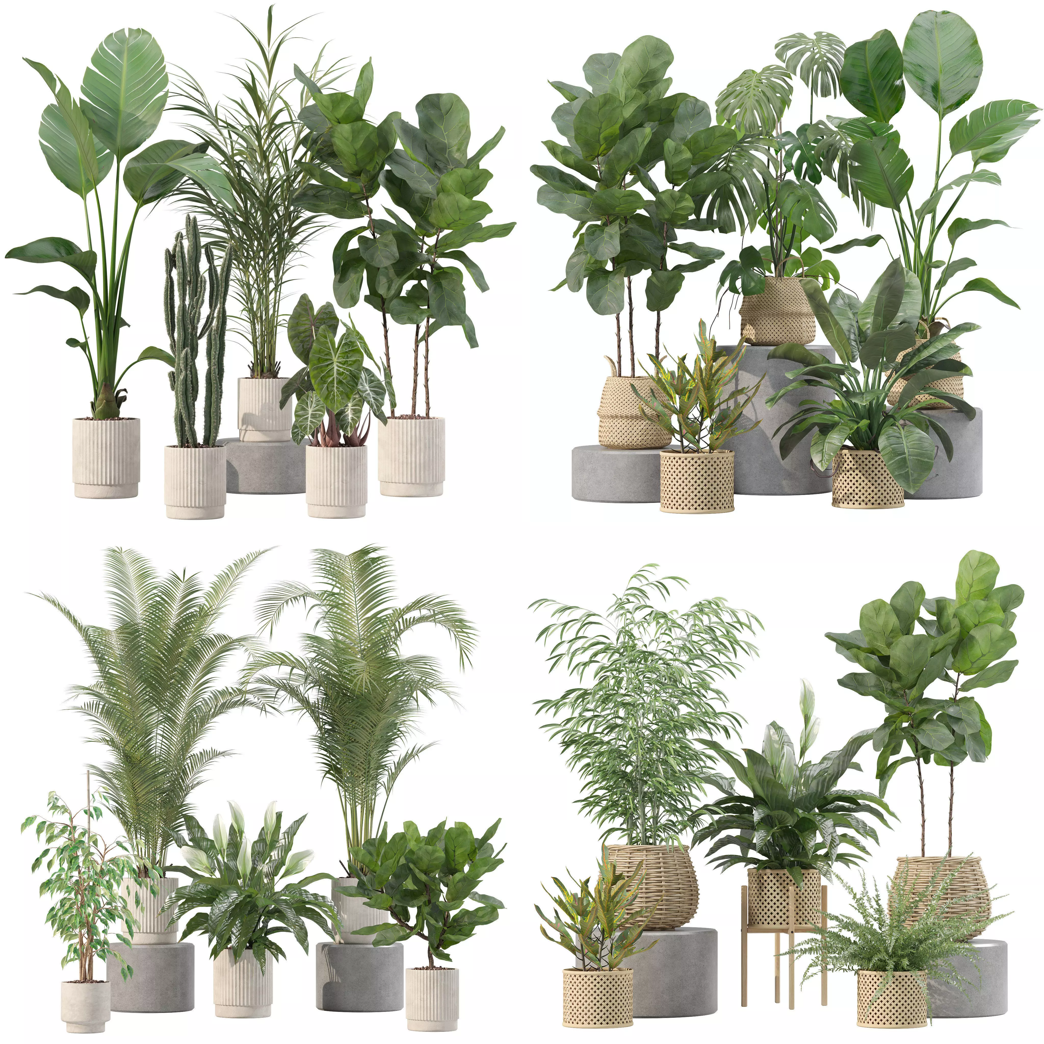 20 Photorealistic Flowers for Interiors - set 201 209 213 214 3D Model Collection_0