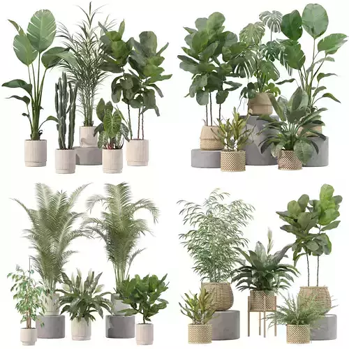 20 Photorealistic Flowers for Interiors - set 201 209 213 214 3D Model Collection