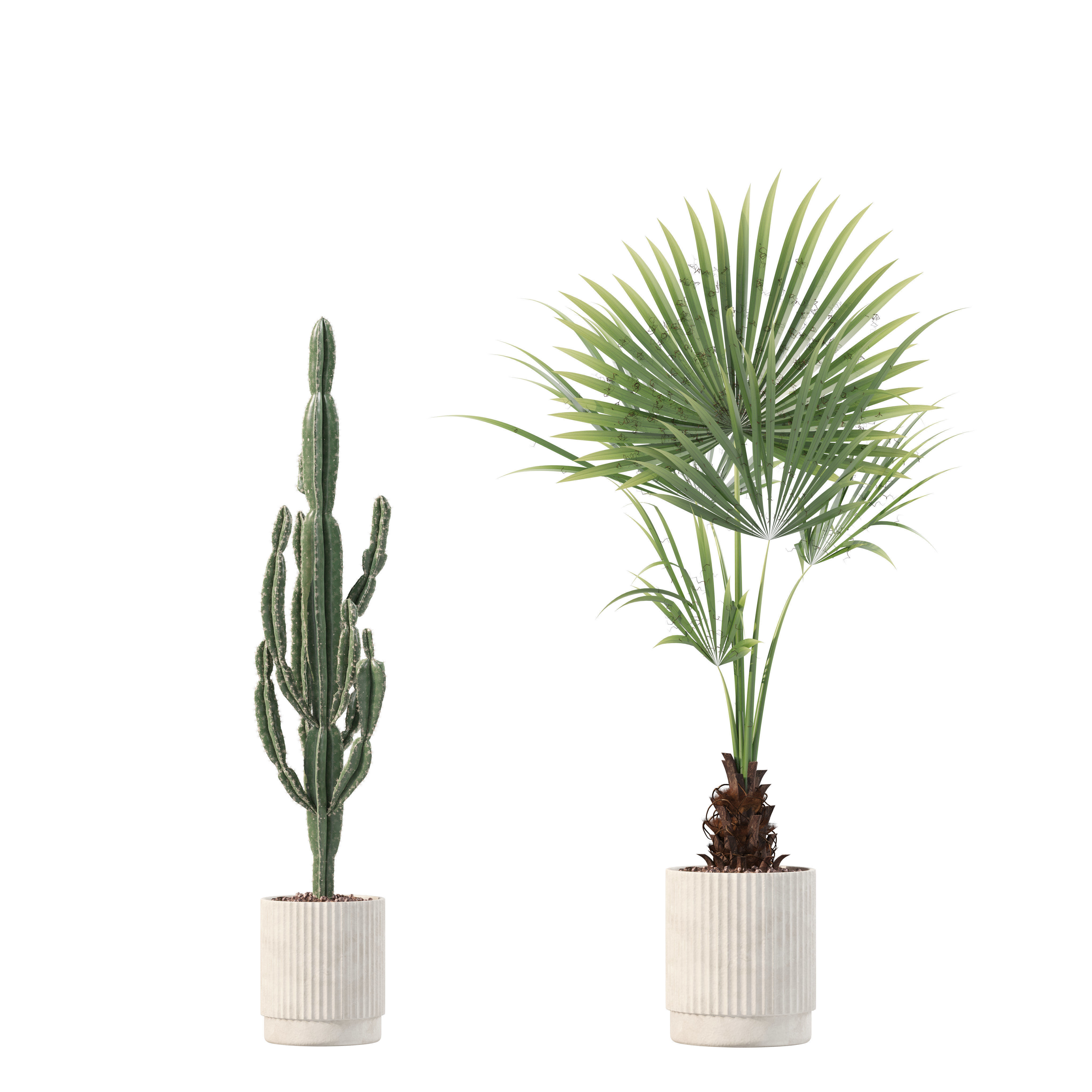 20 Photorealistic Flowers for Interiors - set 201 209 216 219 3D Model Collection_27