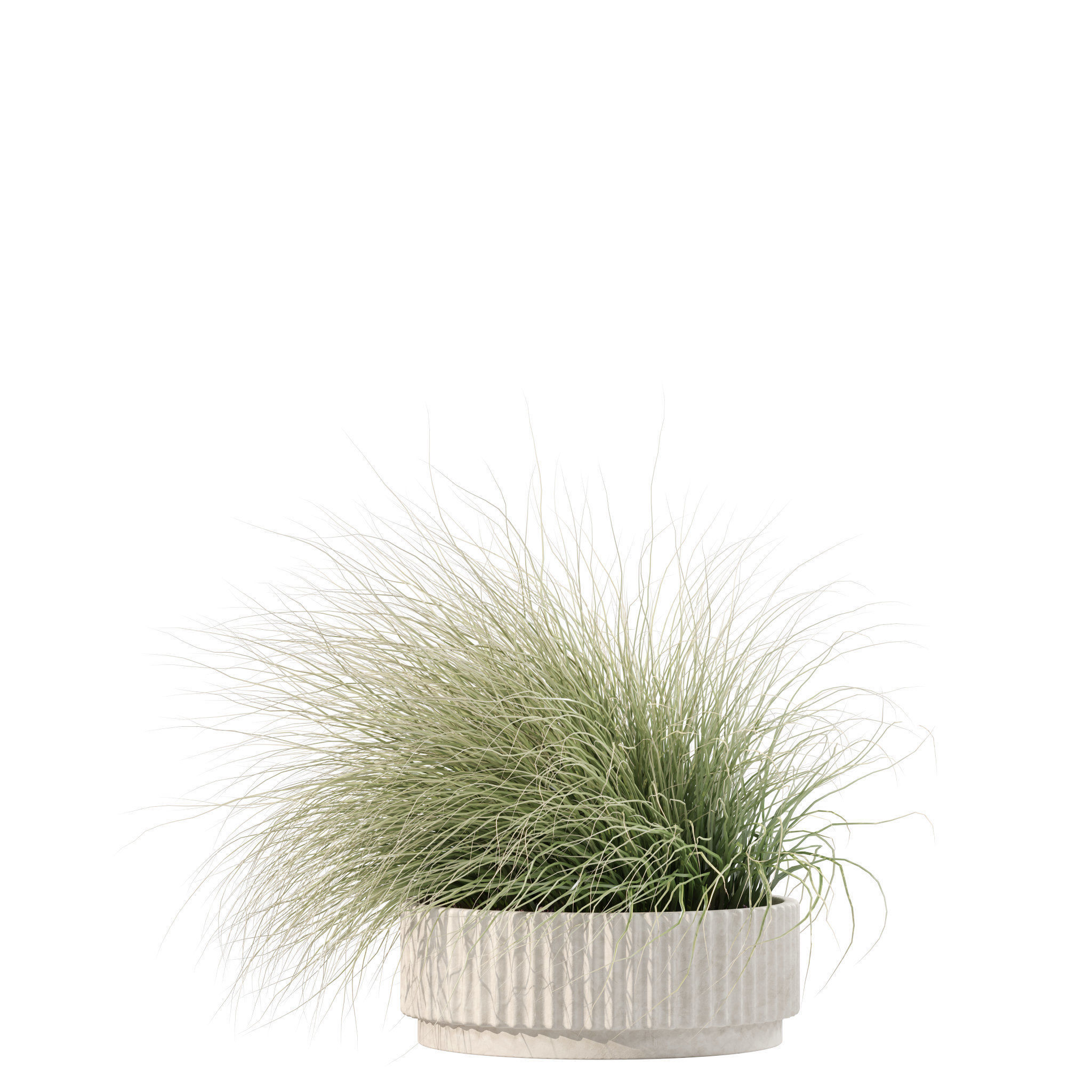 20 Photorealistic Flowers for Interiors - set 201 209 216 219 3D Model Collection_26