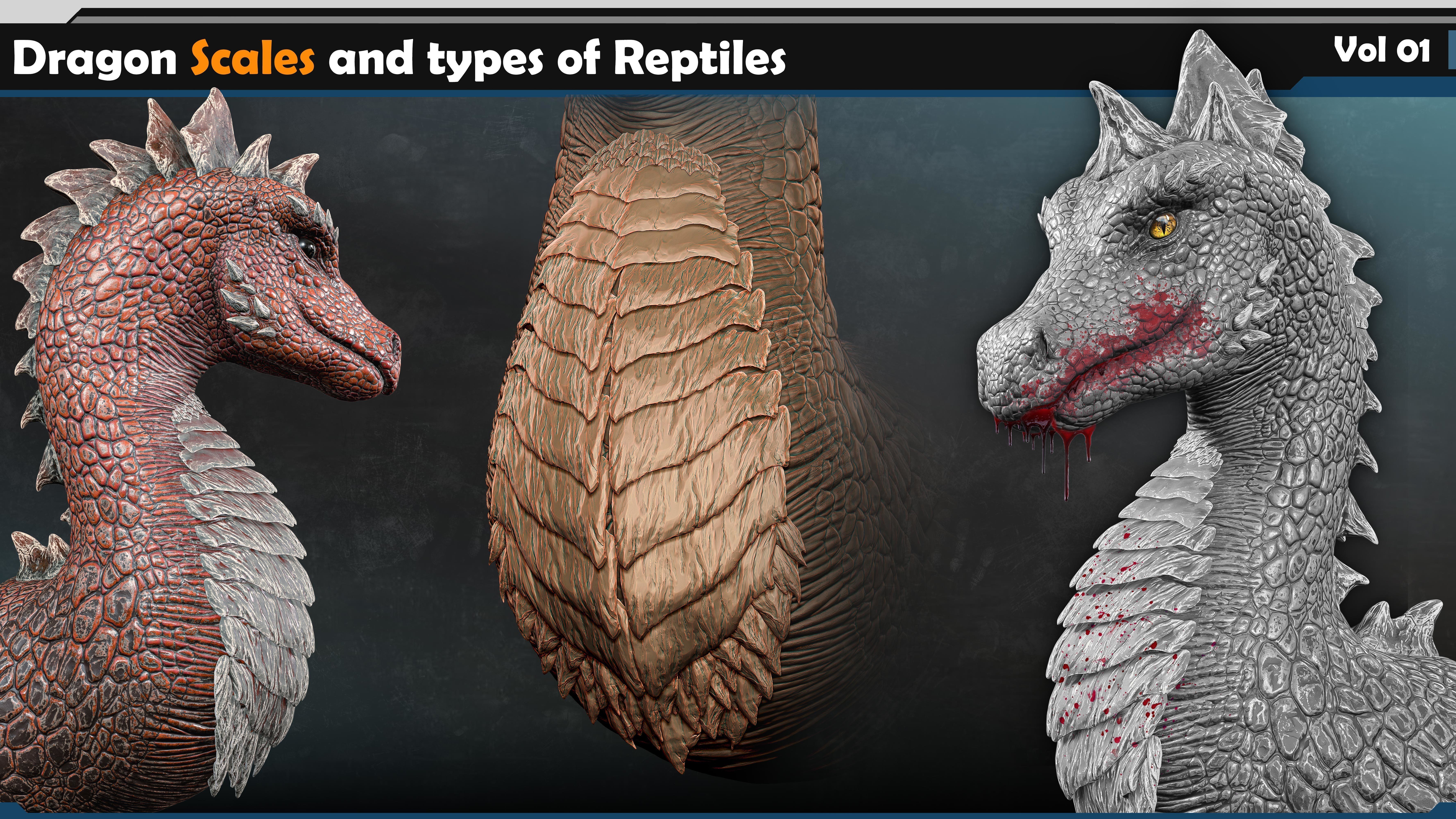 Dragon scales-types of reptiles Vol 01 3D model_1