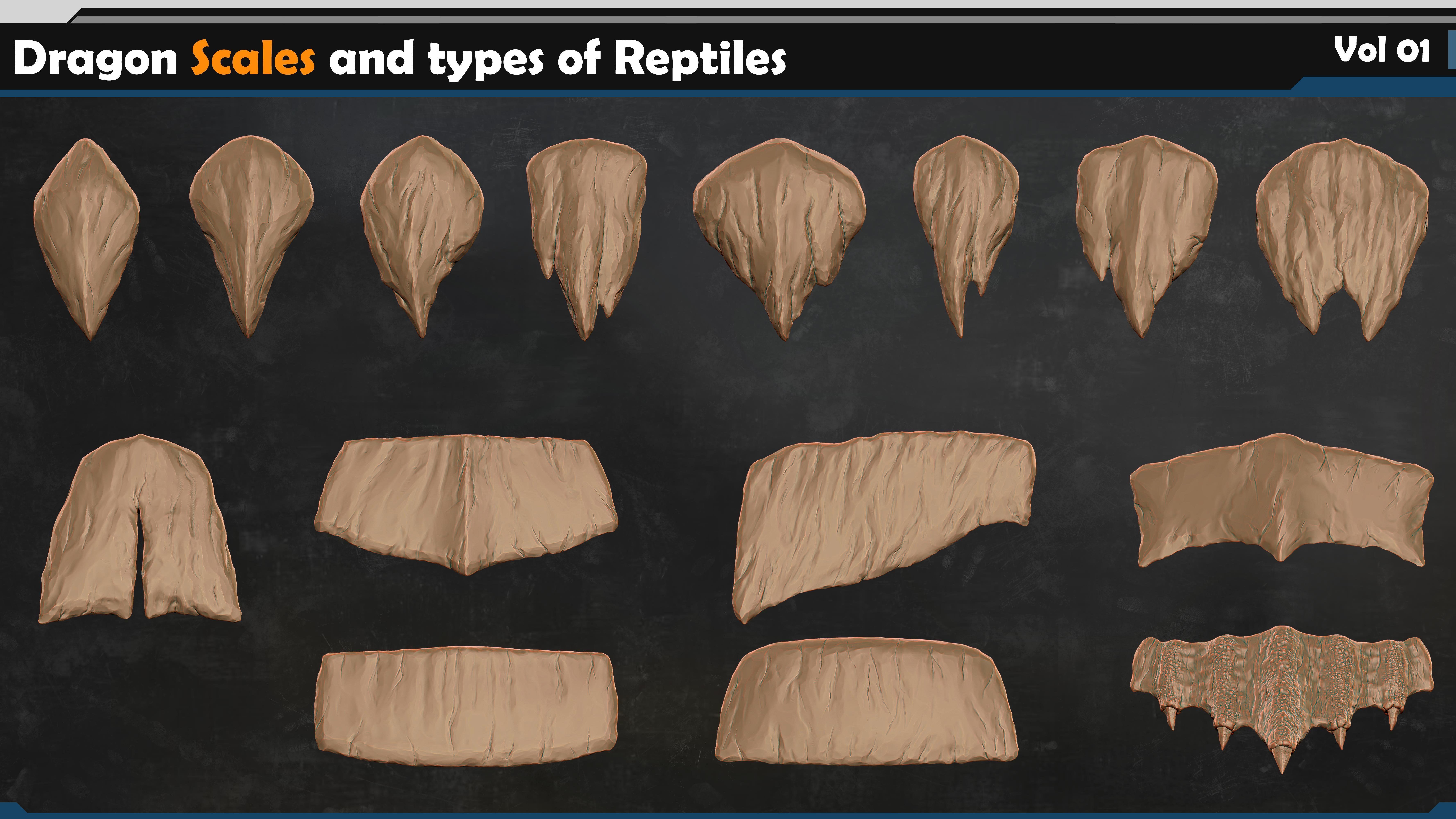 Dragon scales-types of reptiles Vol 01 3D model_5