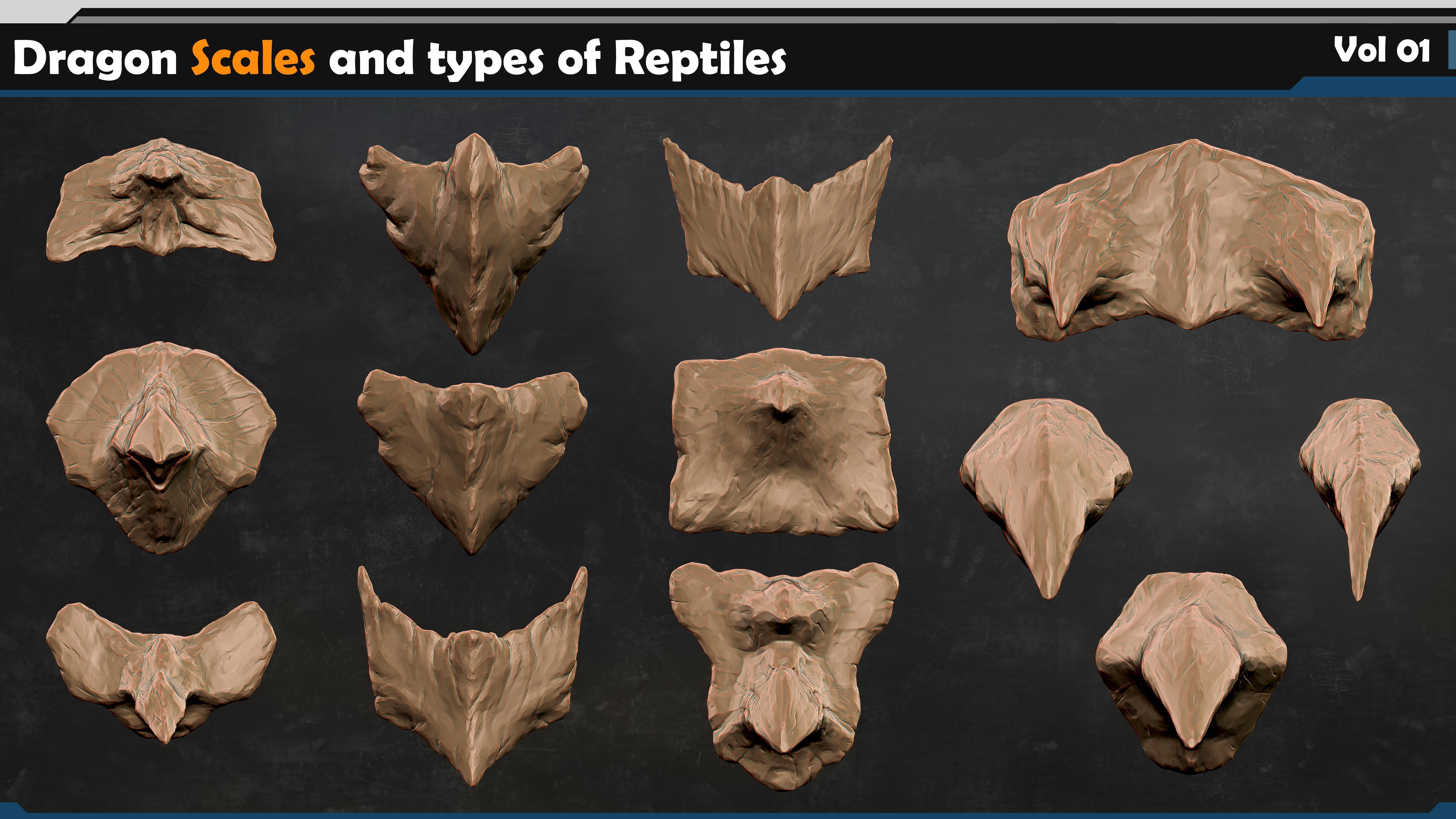 Dragon scales-types of reptiles Vol 01 3D model_6