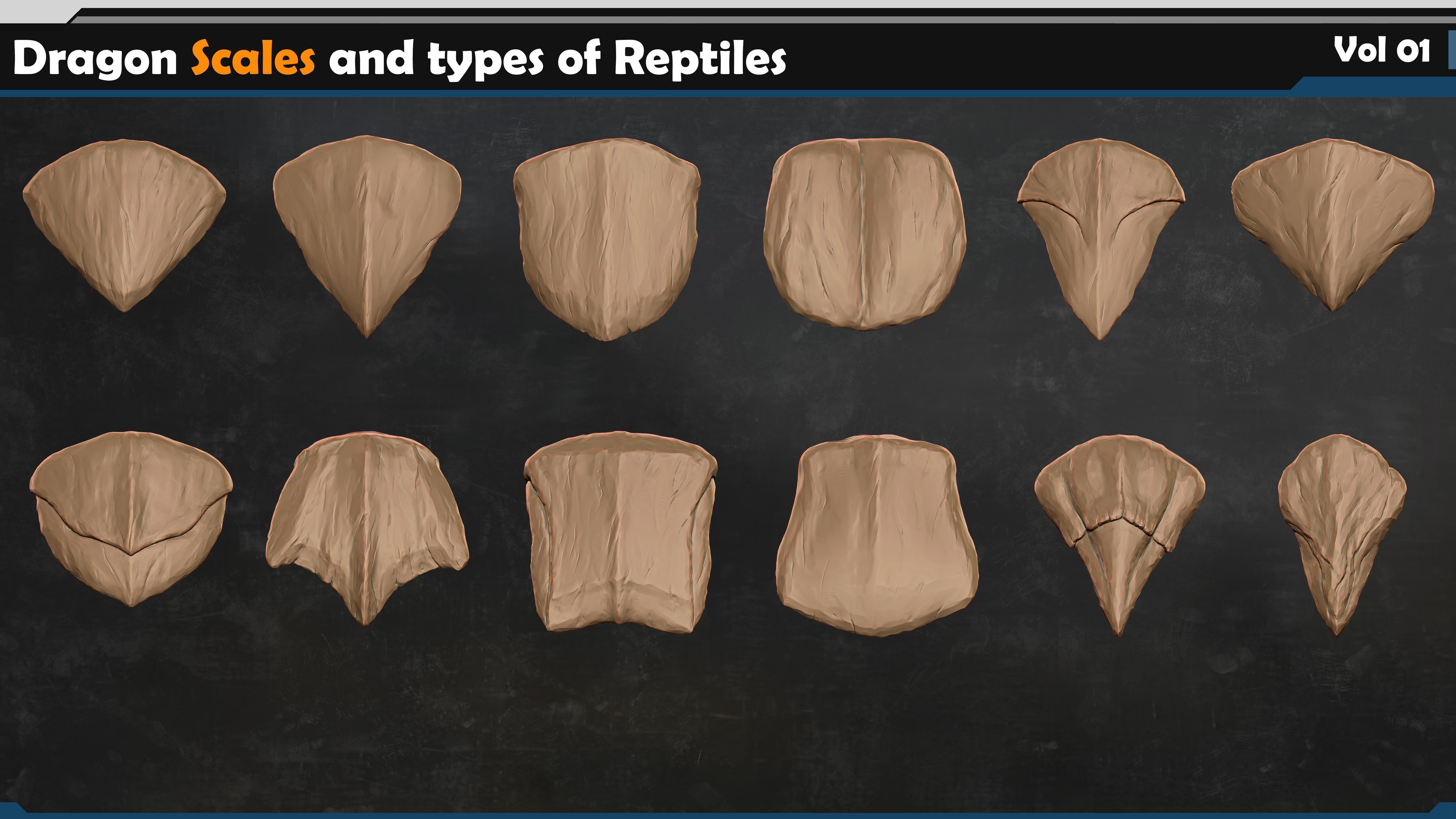 Dragon scales-types of reptiles Vol 01 3D model_4