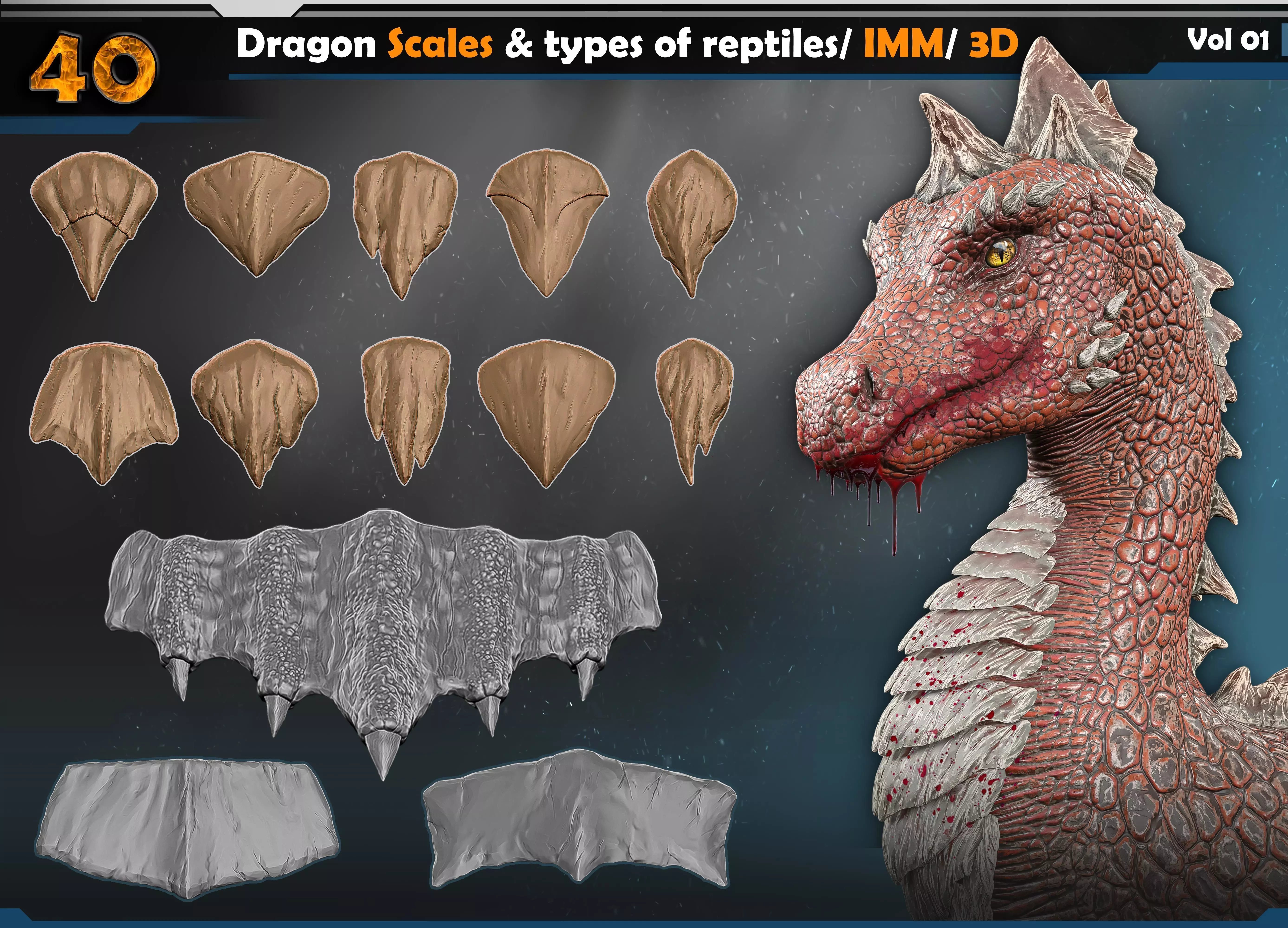 Dragon scales-types of reptiles Vol 01 3D model_0