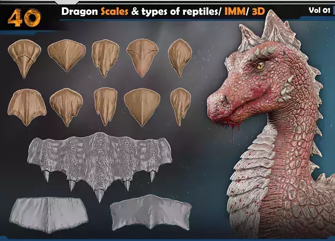 Dragon scales-types of reptiles Vol 01