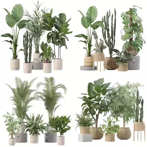 20 Photorealistic Flowers for Interiors - set 201 211 213 219 3D Model Collection