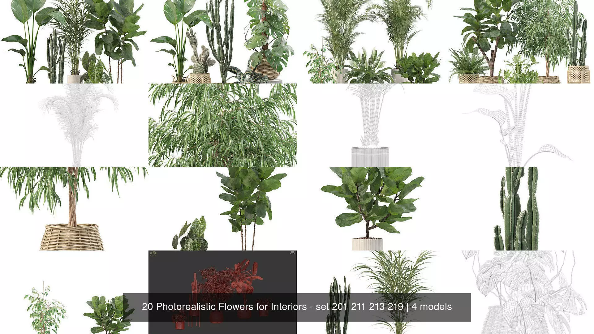 20 Photorealistic Flowers for Interiors - set 201 211 213 219 3D Model Collection_1