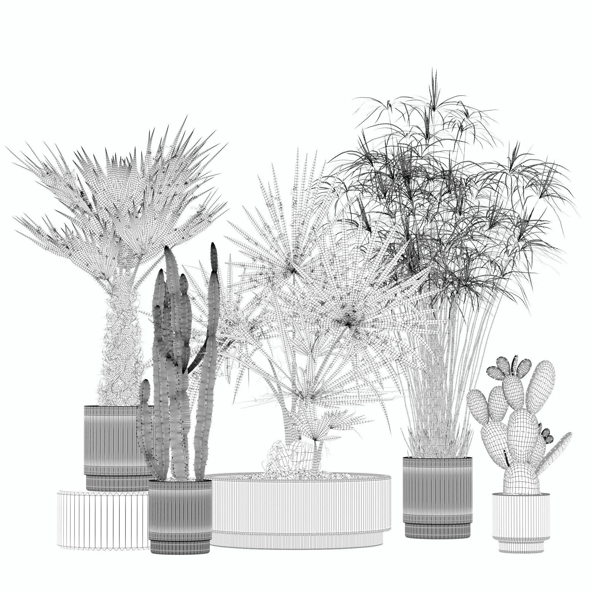 20 Photorealistic Flowers for Interiors - set 202 203 211 218 3D Model Collection_12