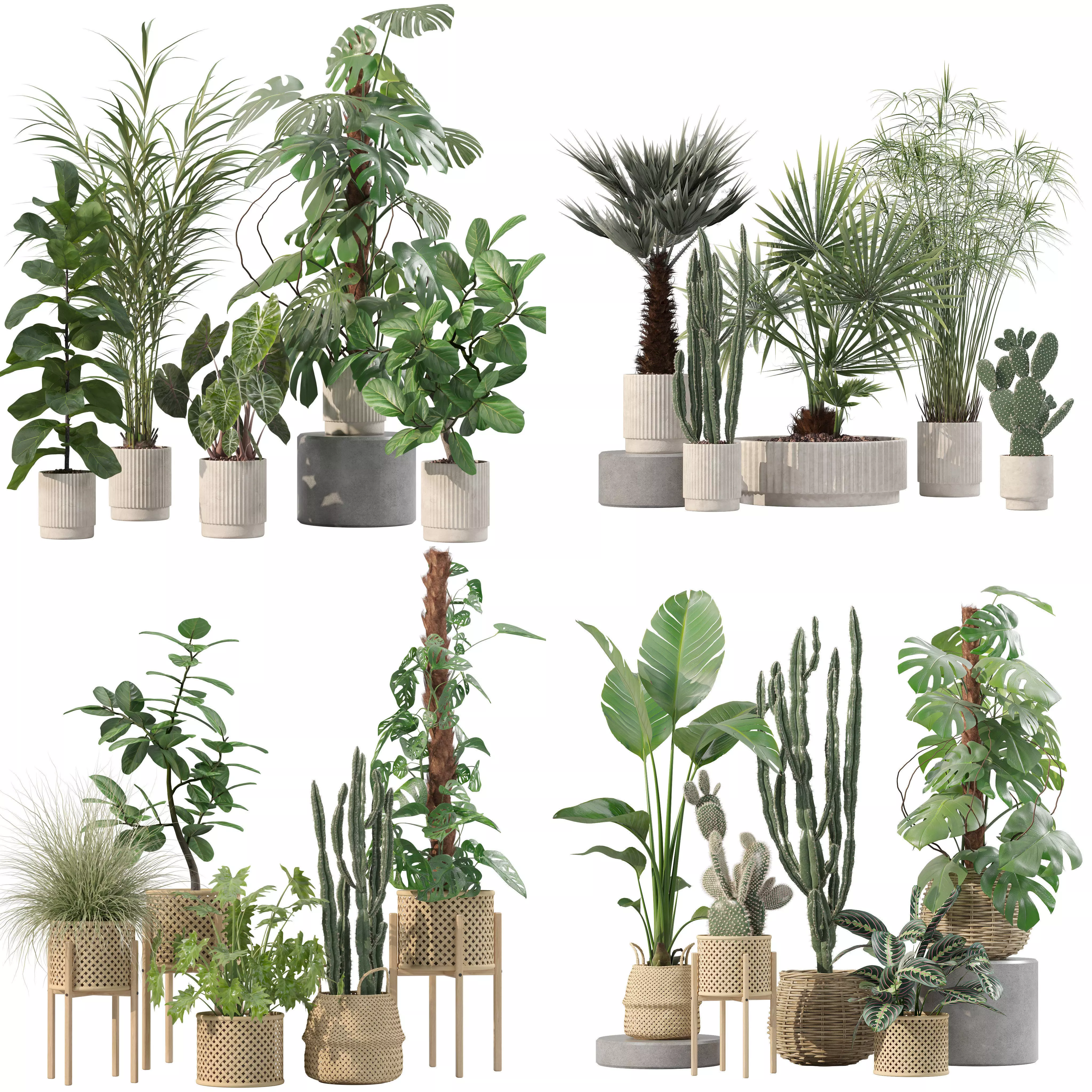 20 Photorealistic Flowers for Interiors - set 202 203 211 218 3D Model Collection_0