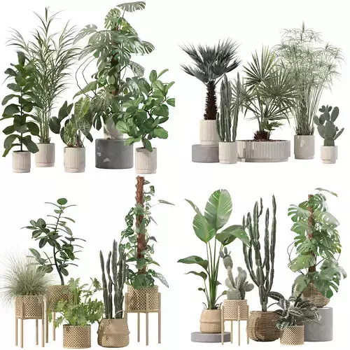 20 Photorealistic Flowers for Interiors - set 202 203 211 218 3D Model Collection