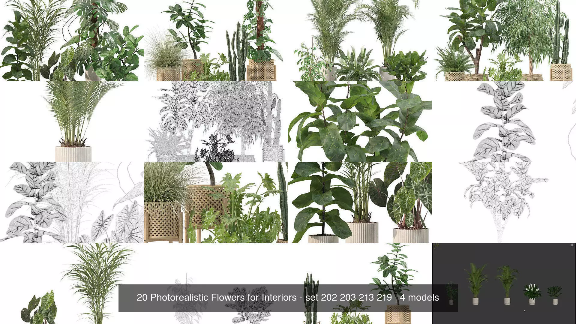 20 Photorealistic Flowers for Interiors - set 202 203 213 219 3D Model Collection_1